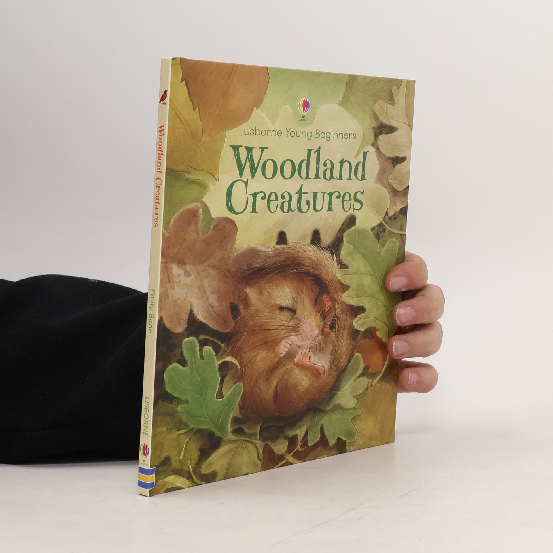 Emily Bone Woodland creatures
