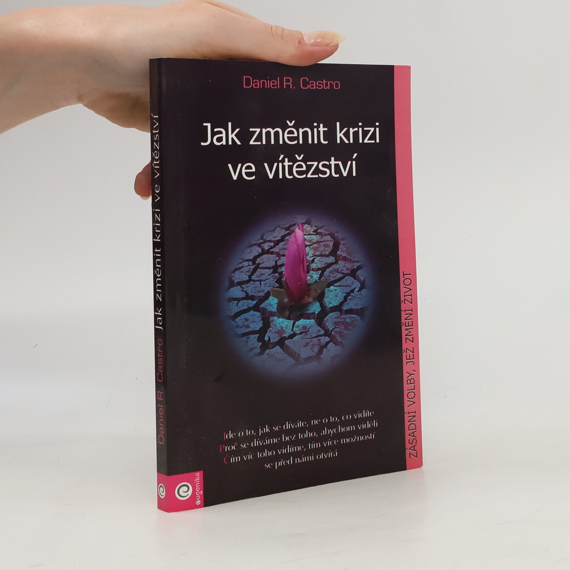 Daniel R. Castro Jak změnit krizi ve vítězství