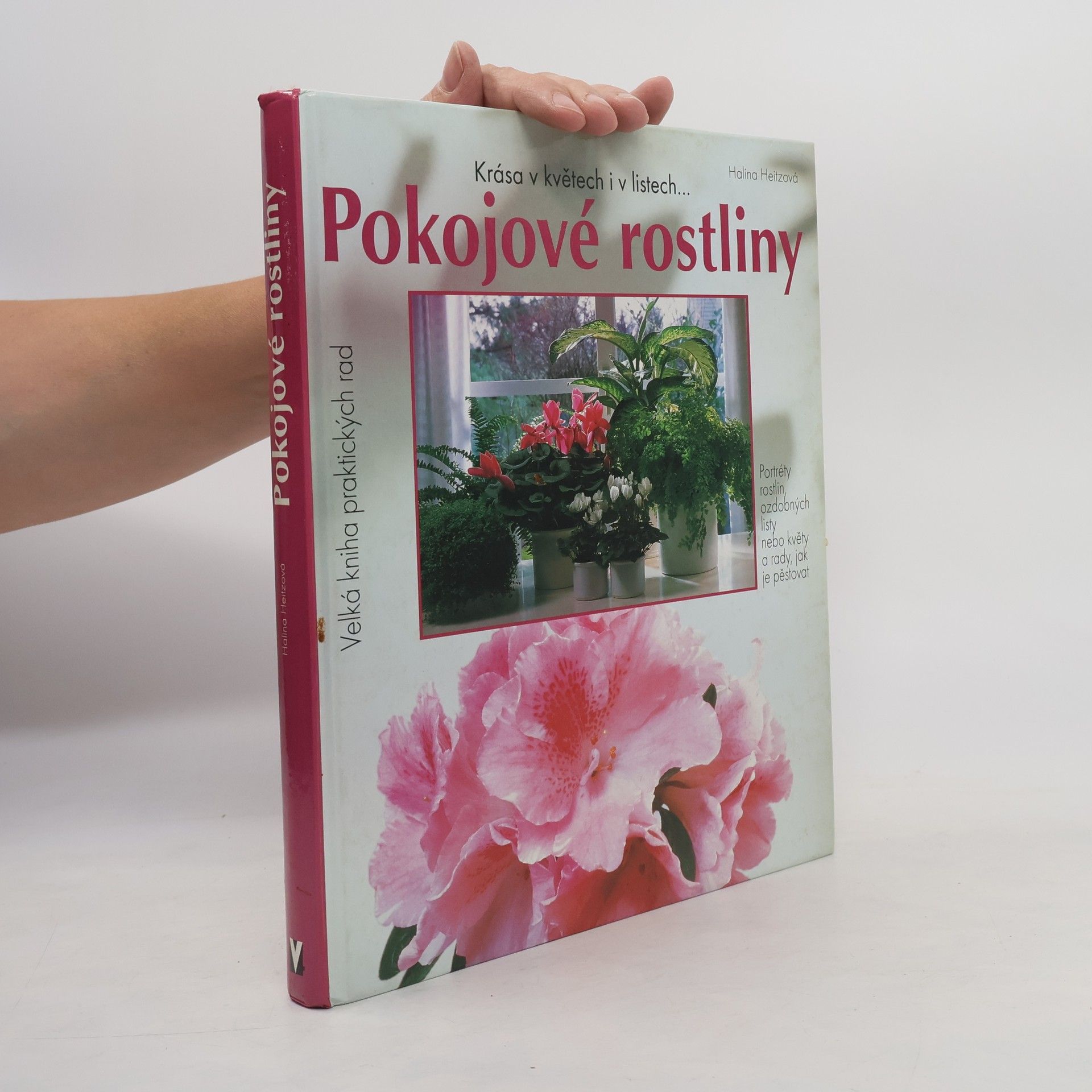Pokojové rostliny