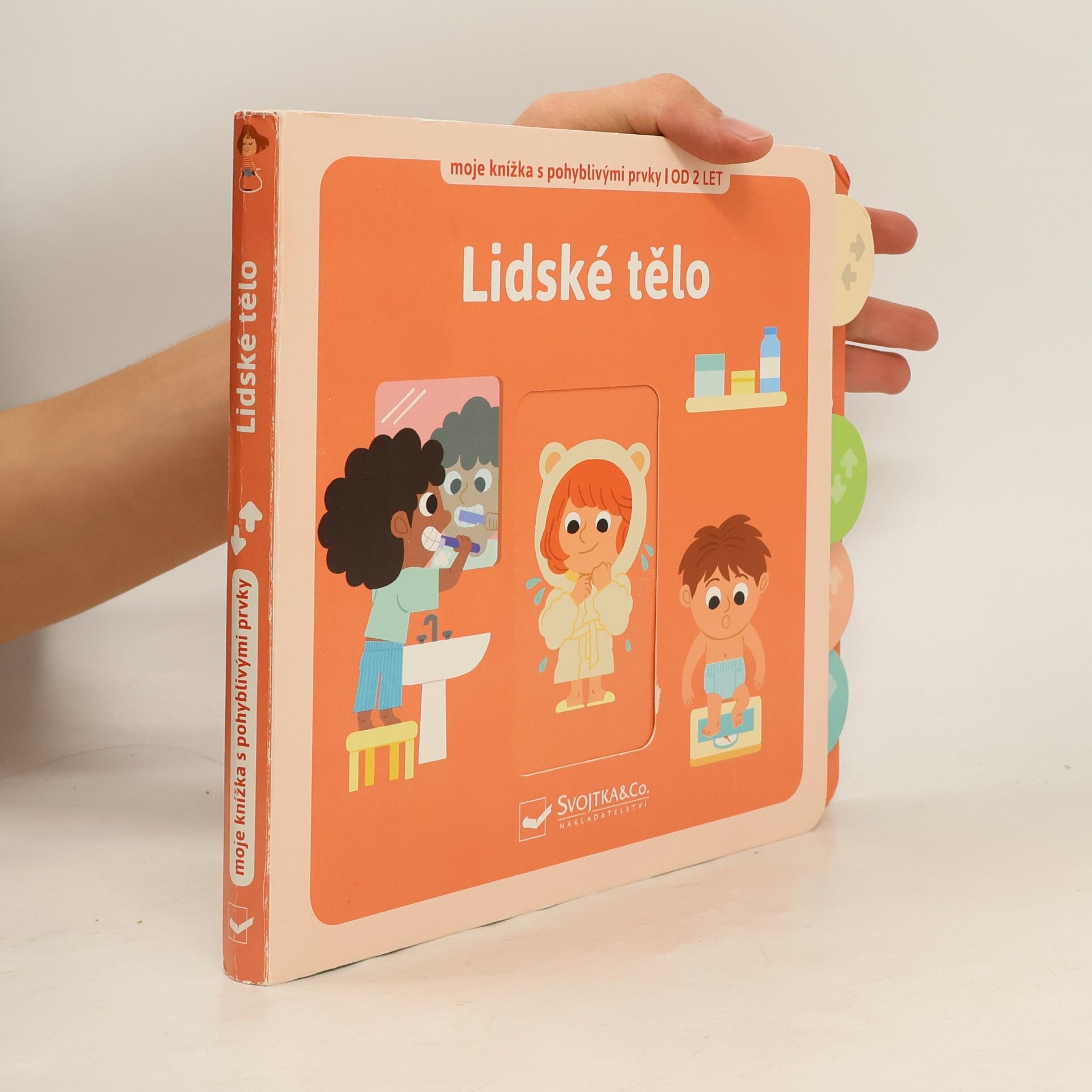 Ilaria Falorsi Lidské tělo