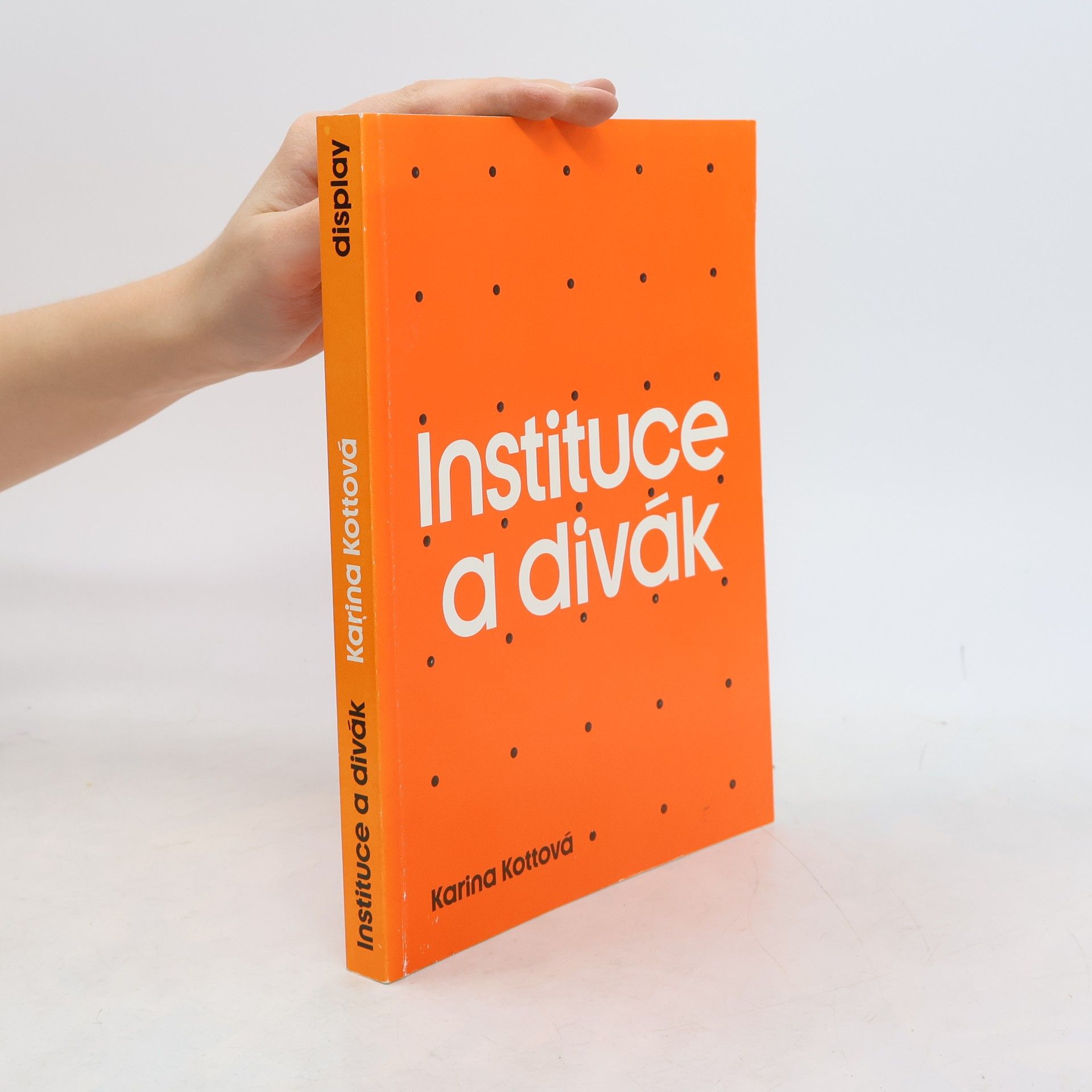 Karina Kottová Instituce a divák