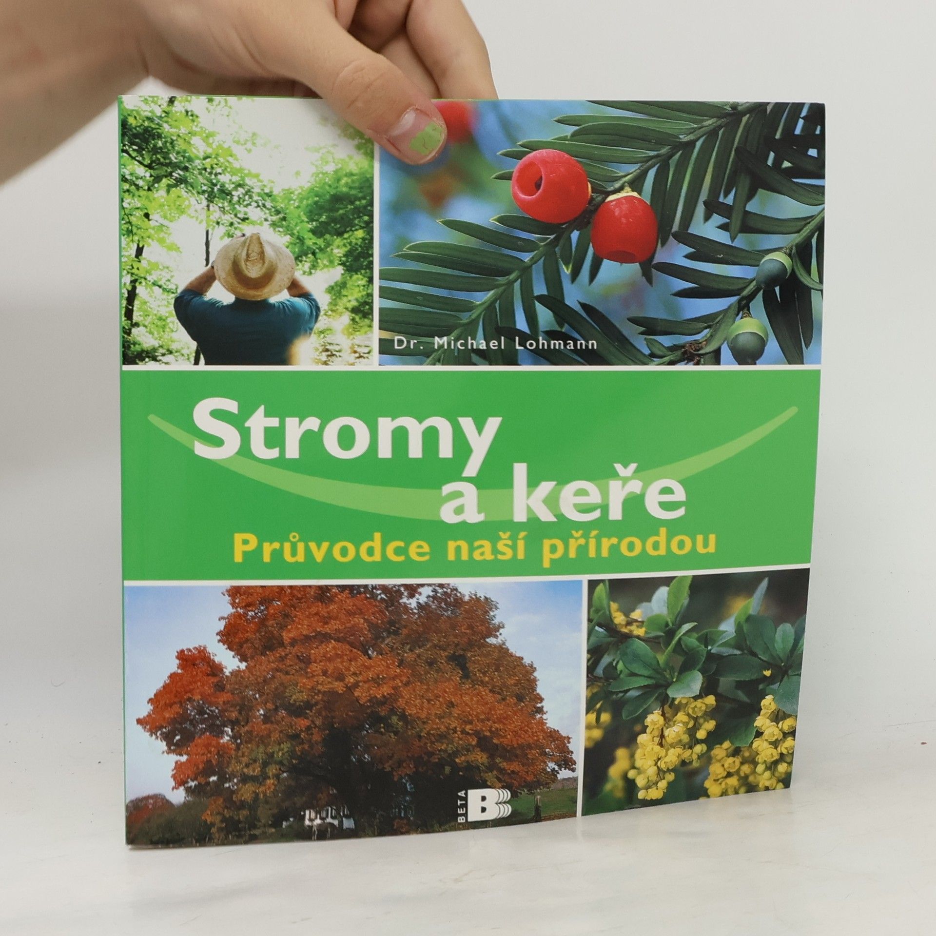 Michael Lohmann Stromy a keře