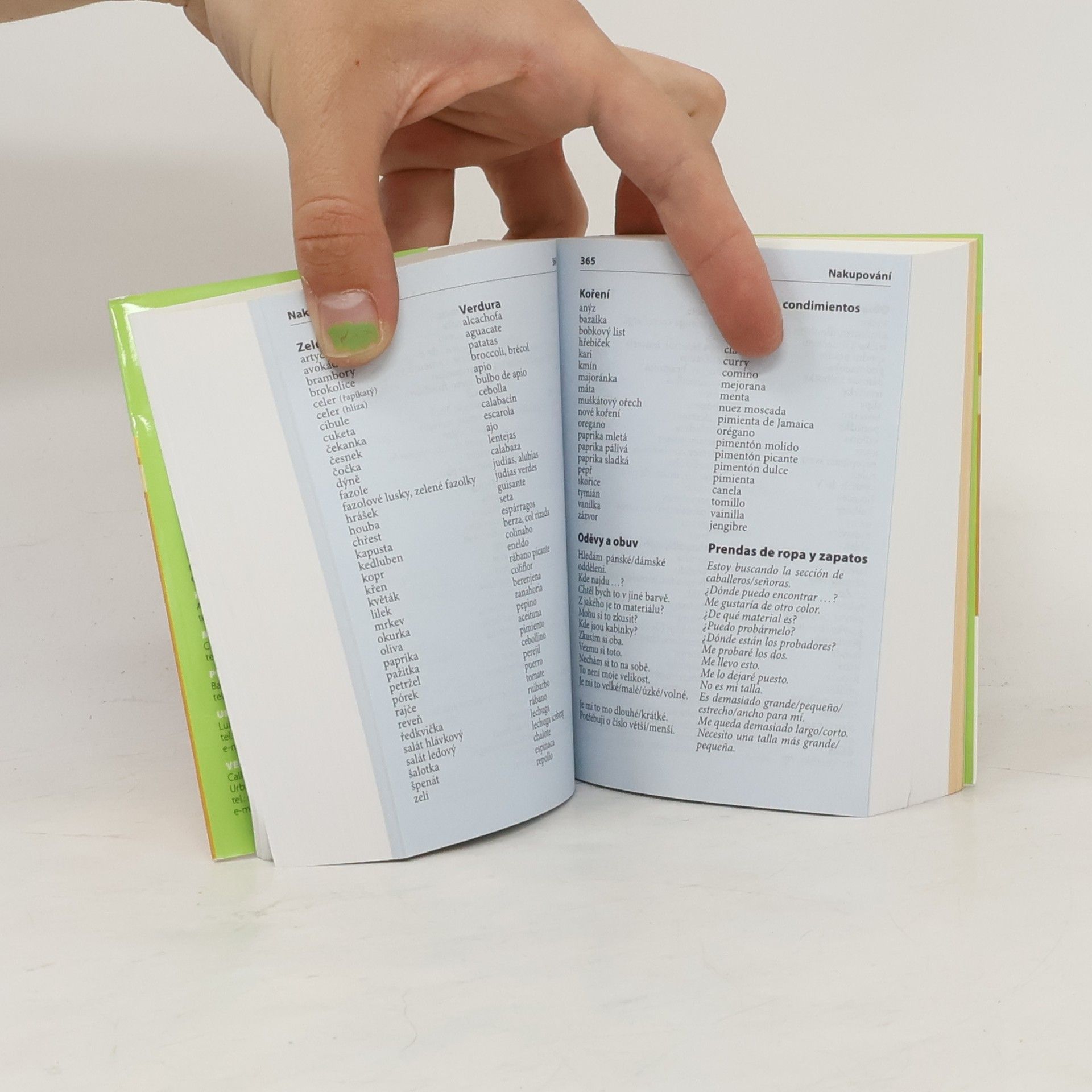 Autores varios Španělsko-český. Česko-španělský kapesní slovník