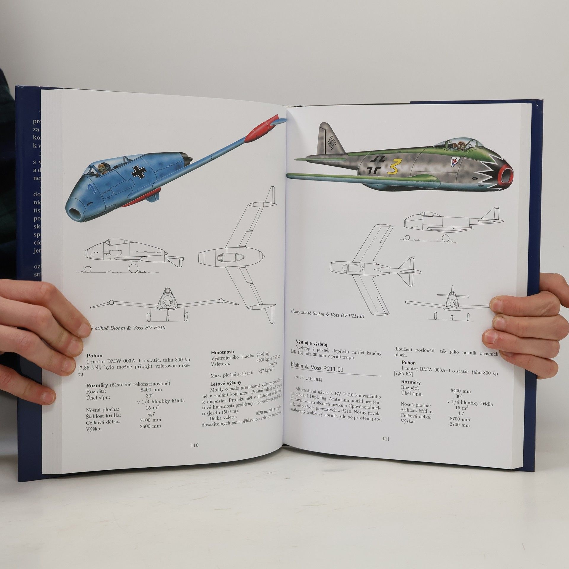 Walter Schick Tajné projekty Luftwaffe. Stíhači 1939-1945