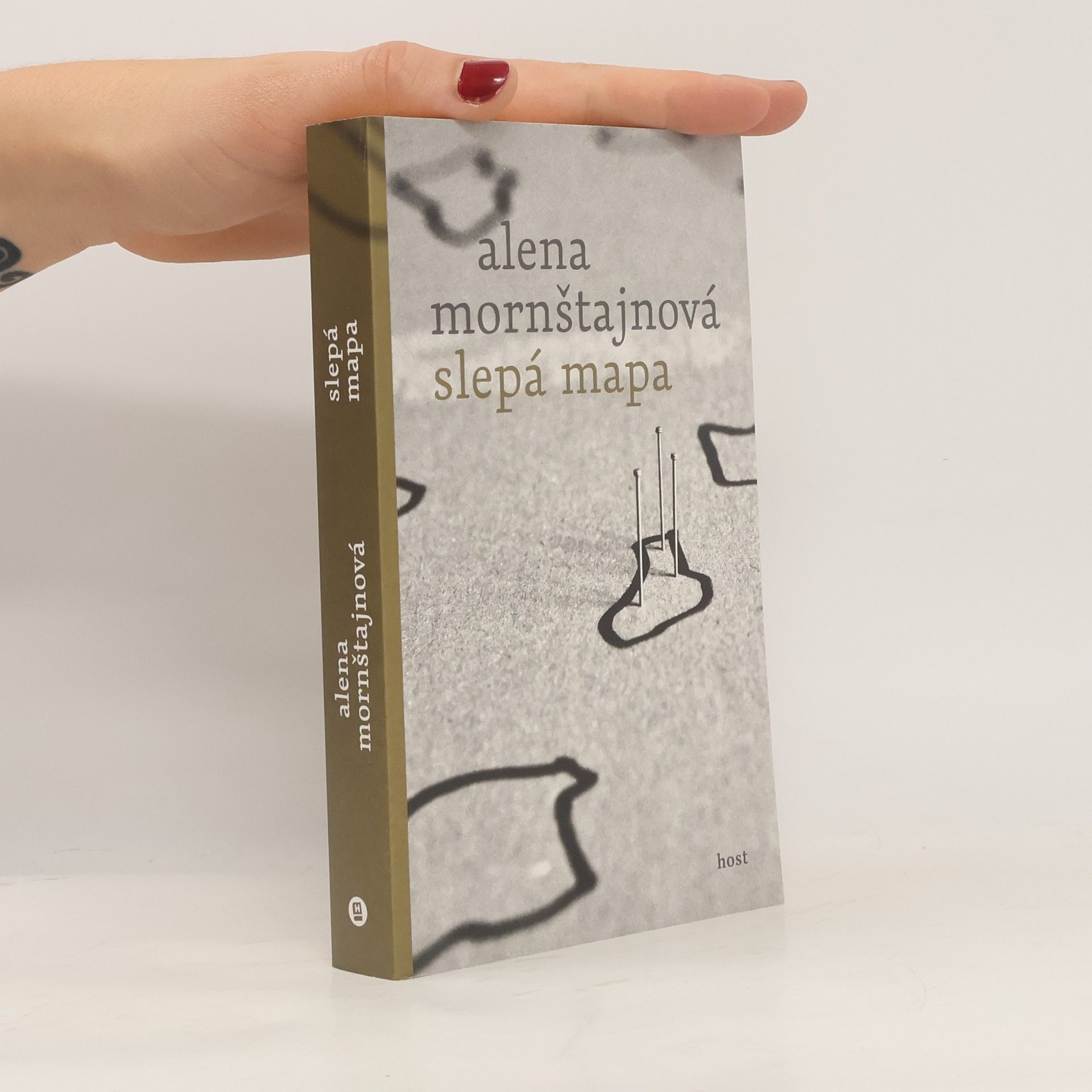 Alena Mornštajnová Slepá mapa
