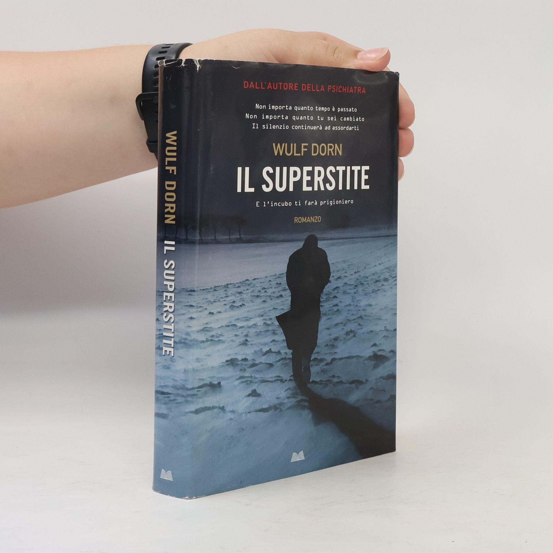 Wulf Dorn Il Superstite