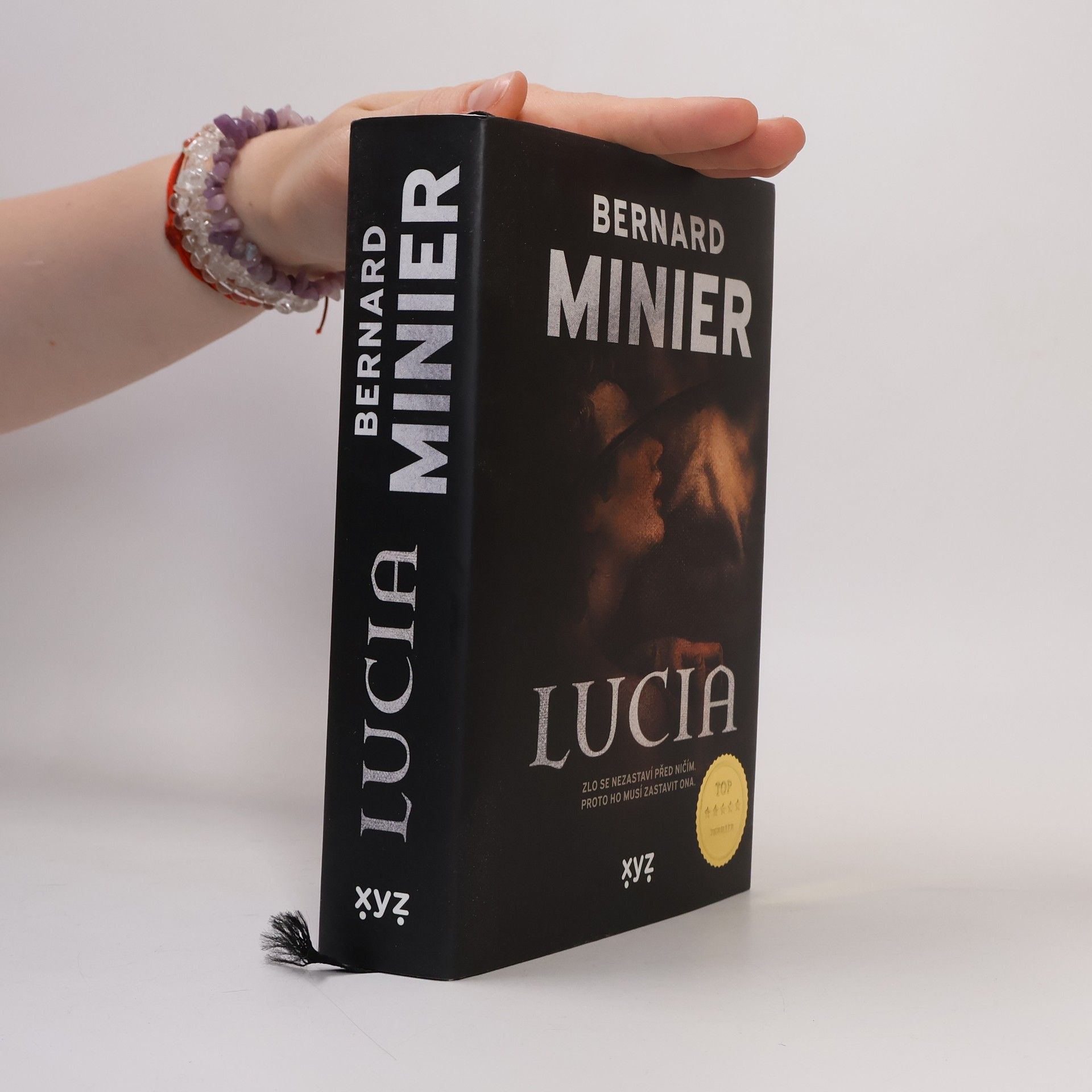 Bernard Minier Lucia