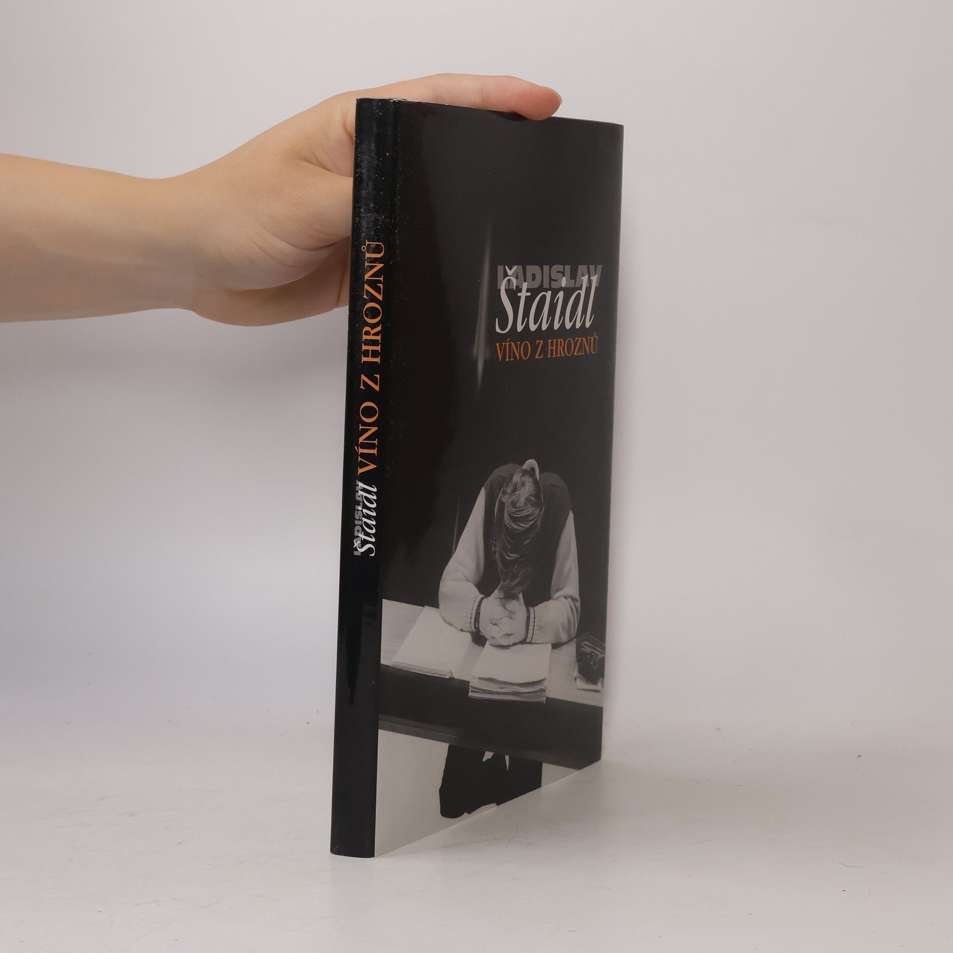 Ladislav Štaidl Víno z hroznů