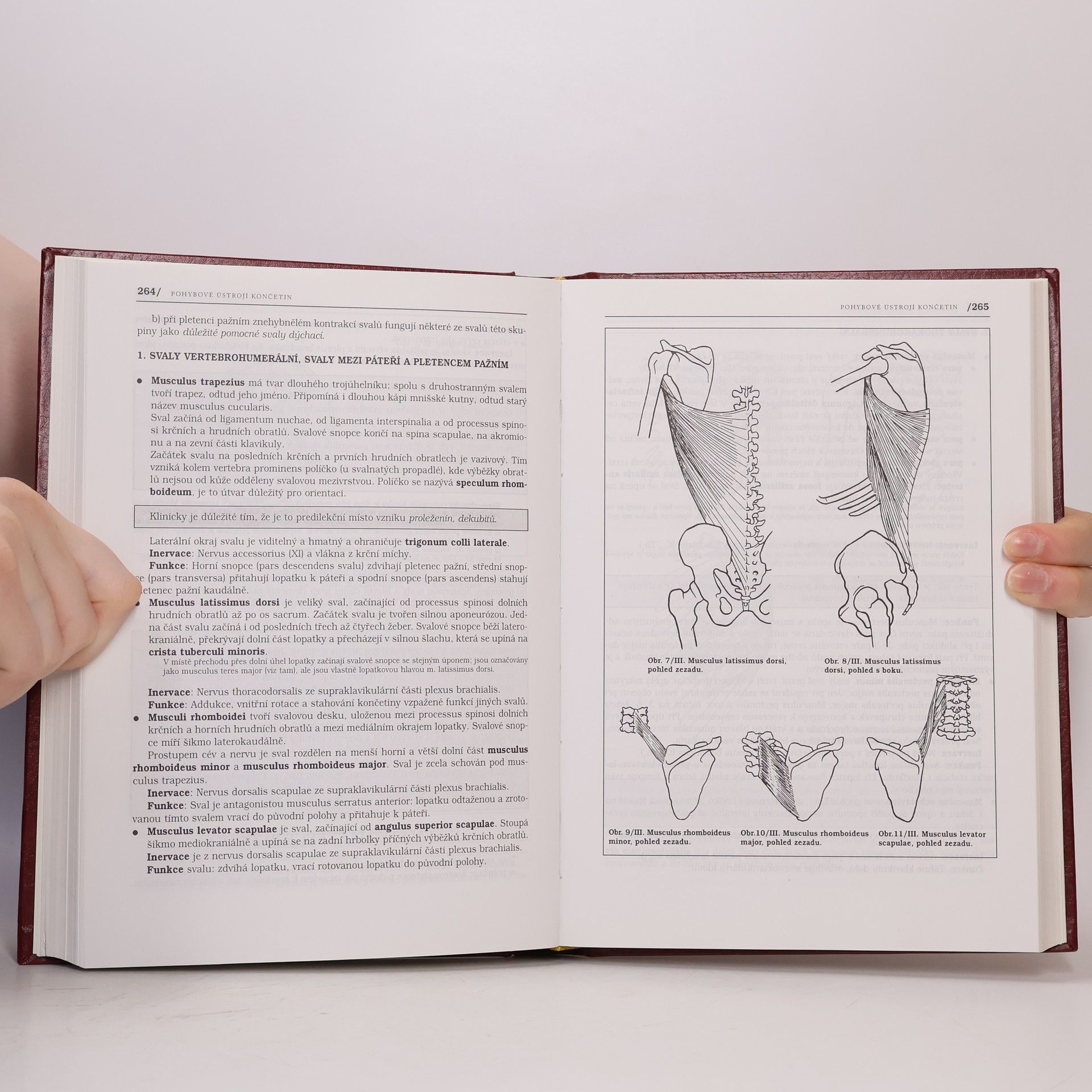 Pavel Petrovický Anatomie s topografií a klinickými aplikacemi I. Pohybové ústrojí