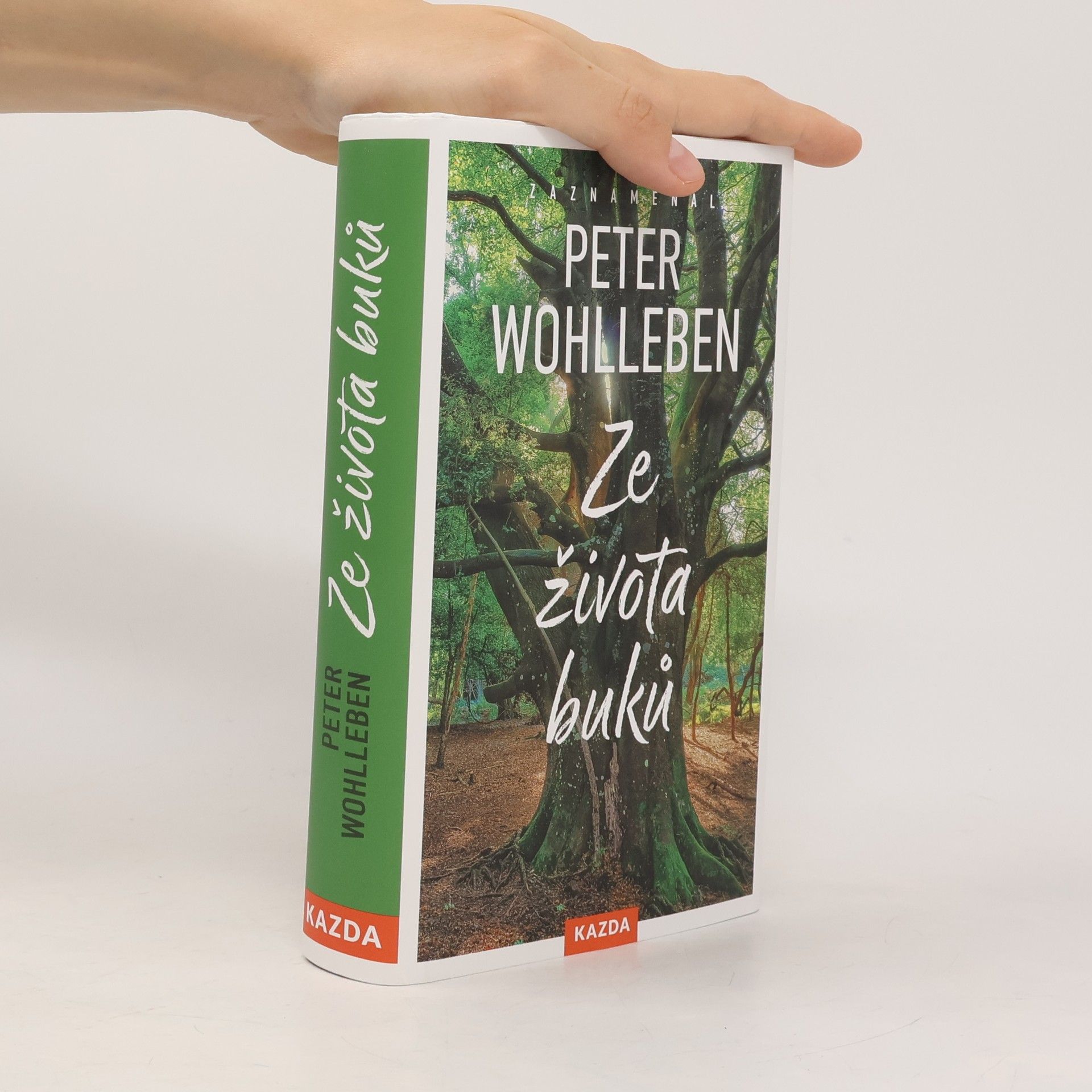 Peter Wohlleben Ze života buků
