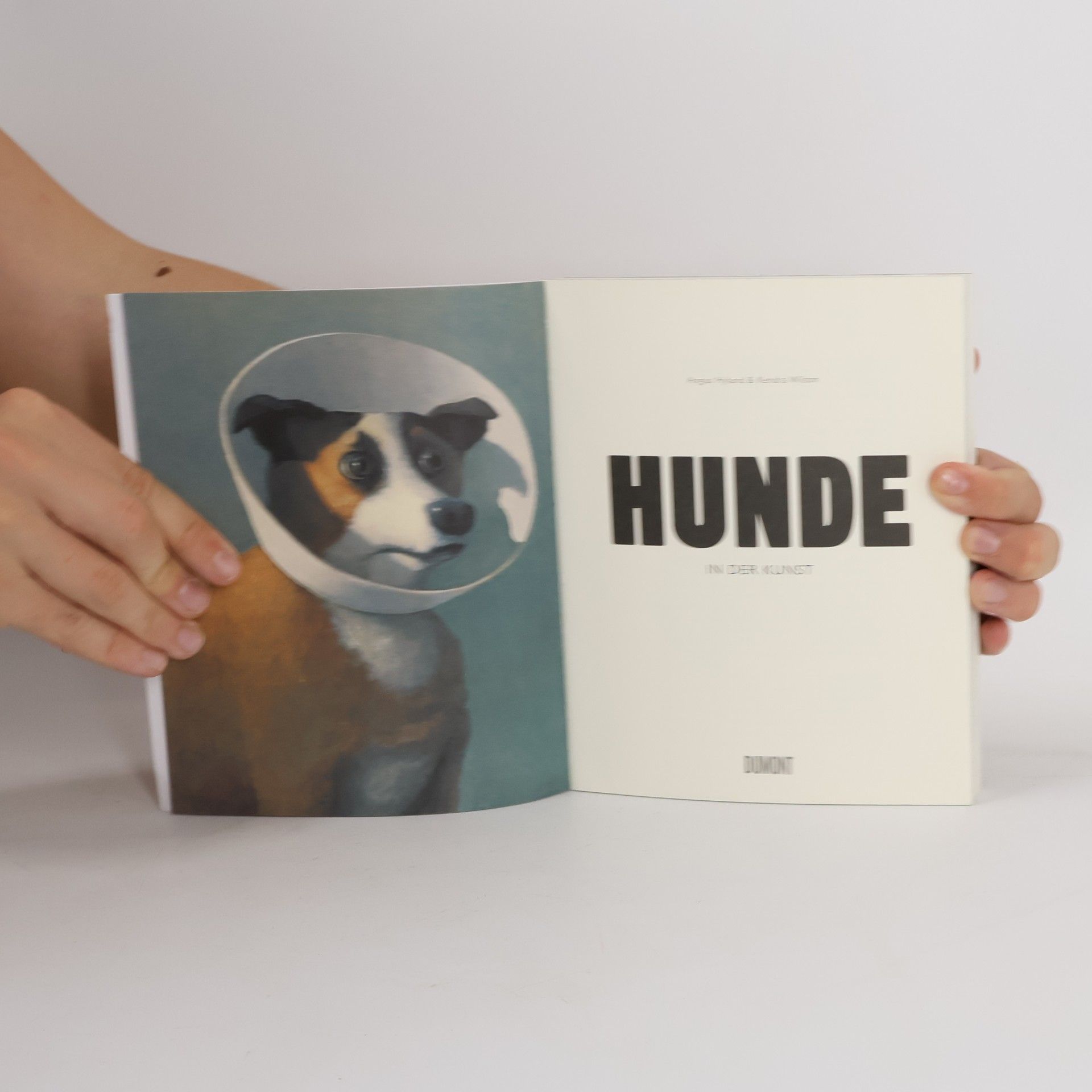 Angus Hyland Hunde in der Kunst