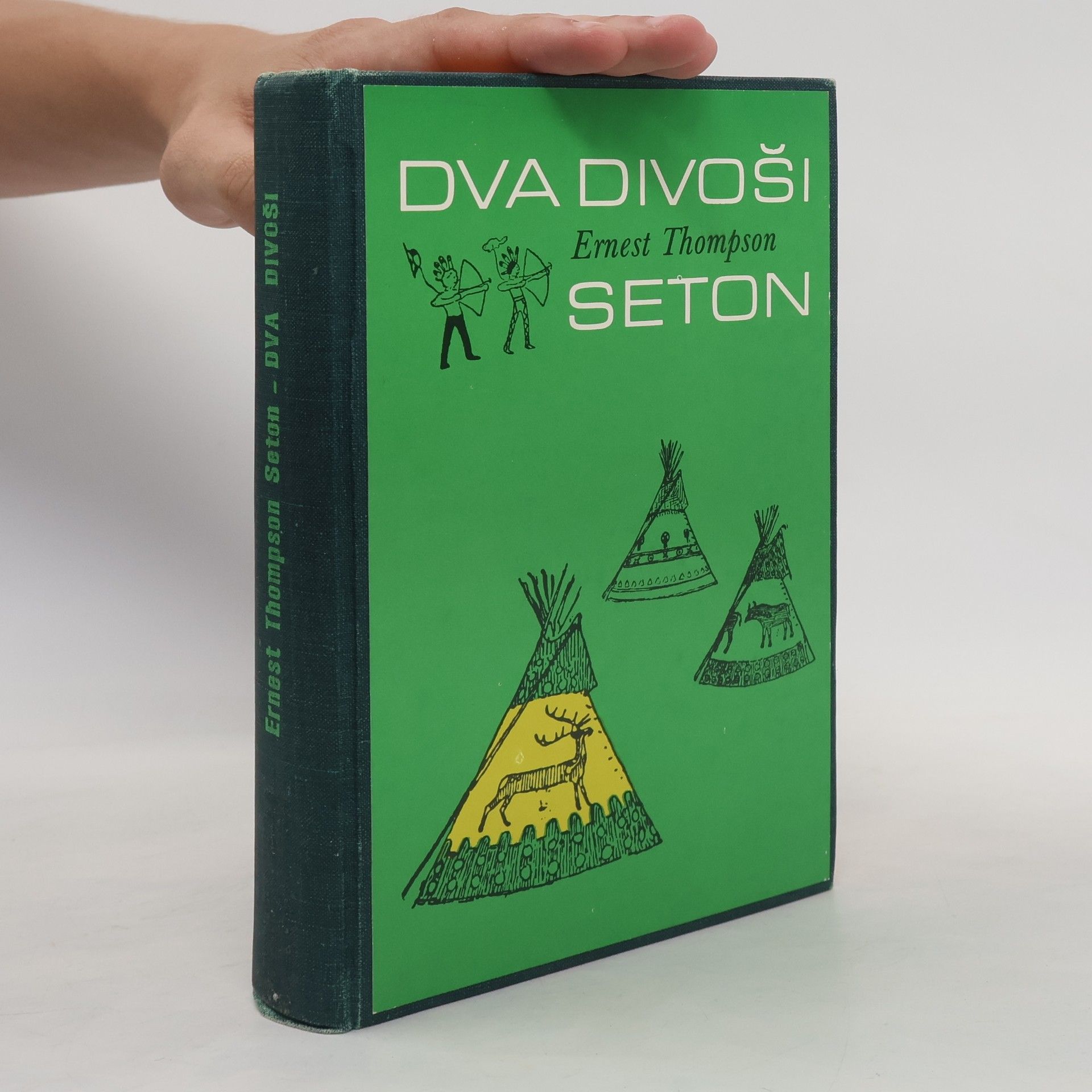 Dva divoši