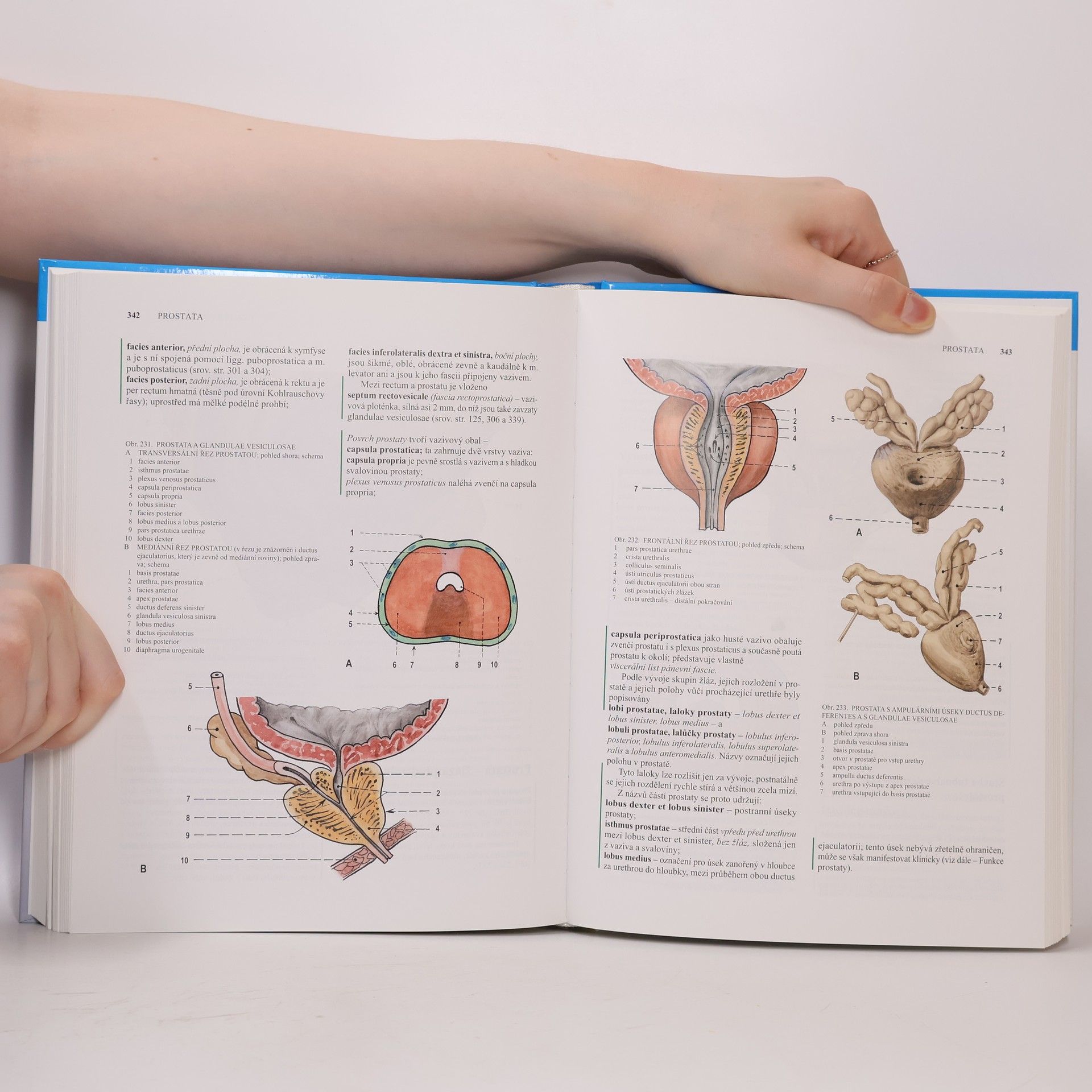 Radomír Čihák Anatomie 2