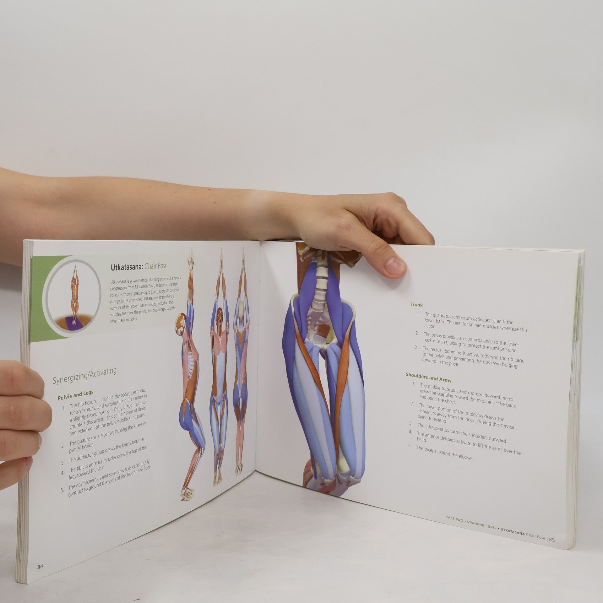 Ray Long Key Poses of Yoga: the Scientific Keys Vol 2