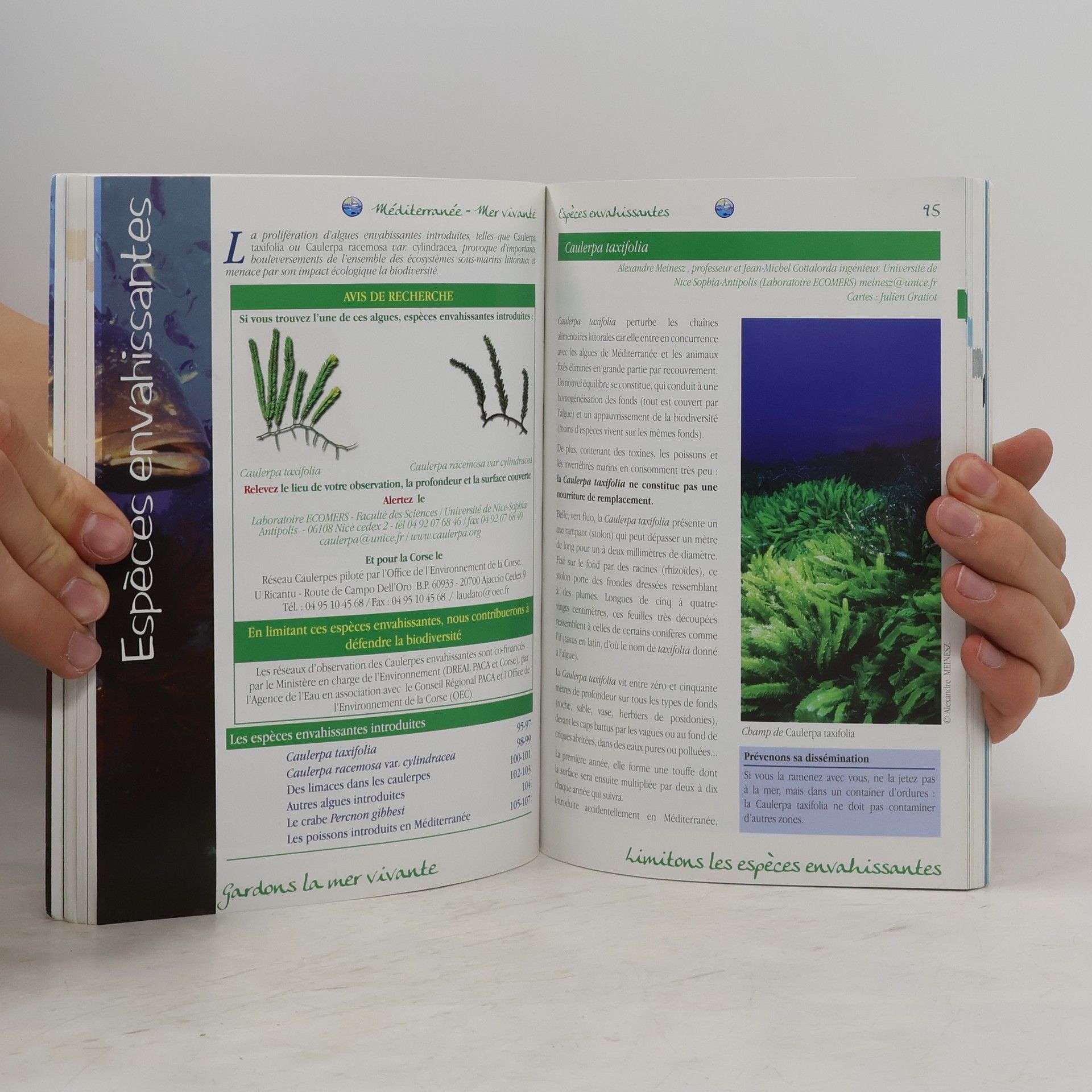 Auteurscollectief Mer Vivante