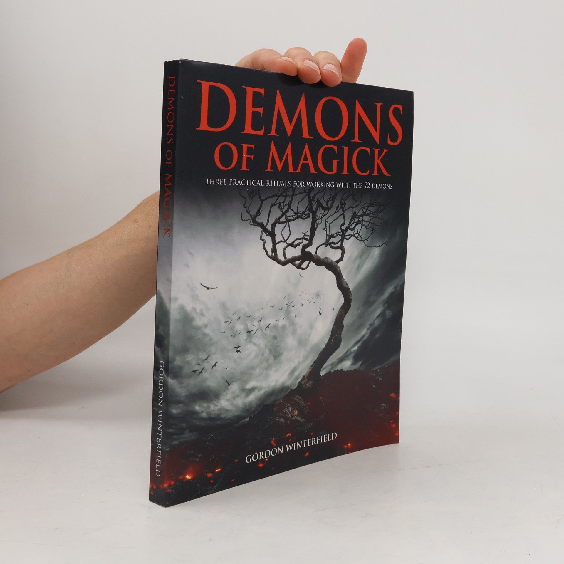 Gordon Winterfield Demons of Magick