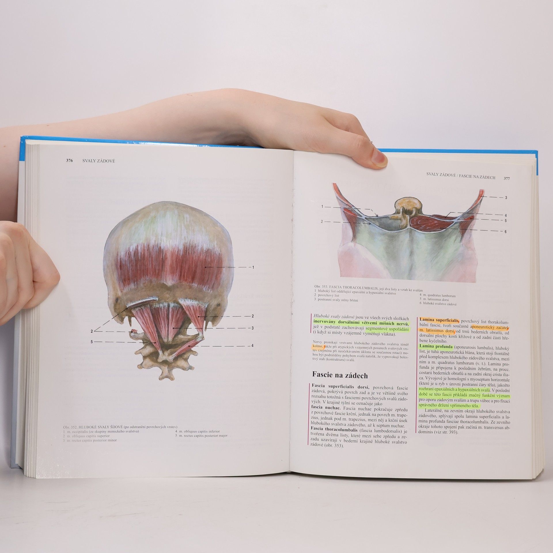 Oldřich Fejfar Anatomie 1