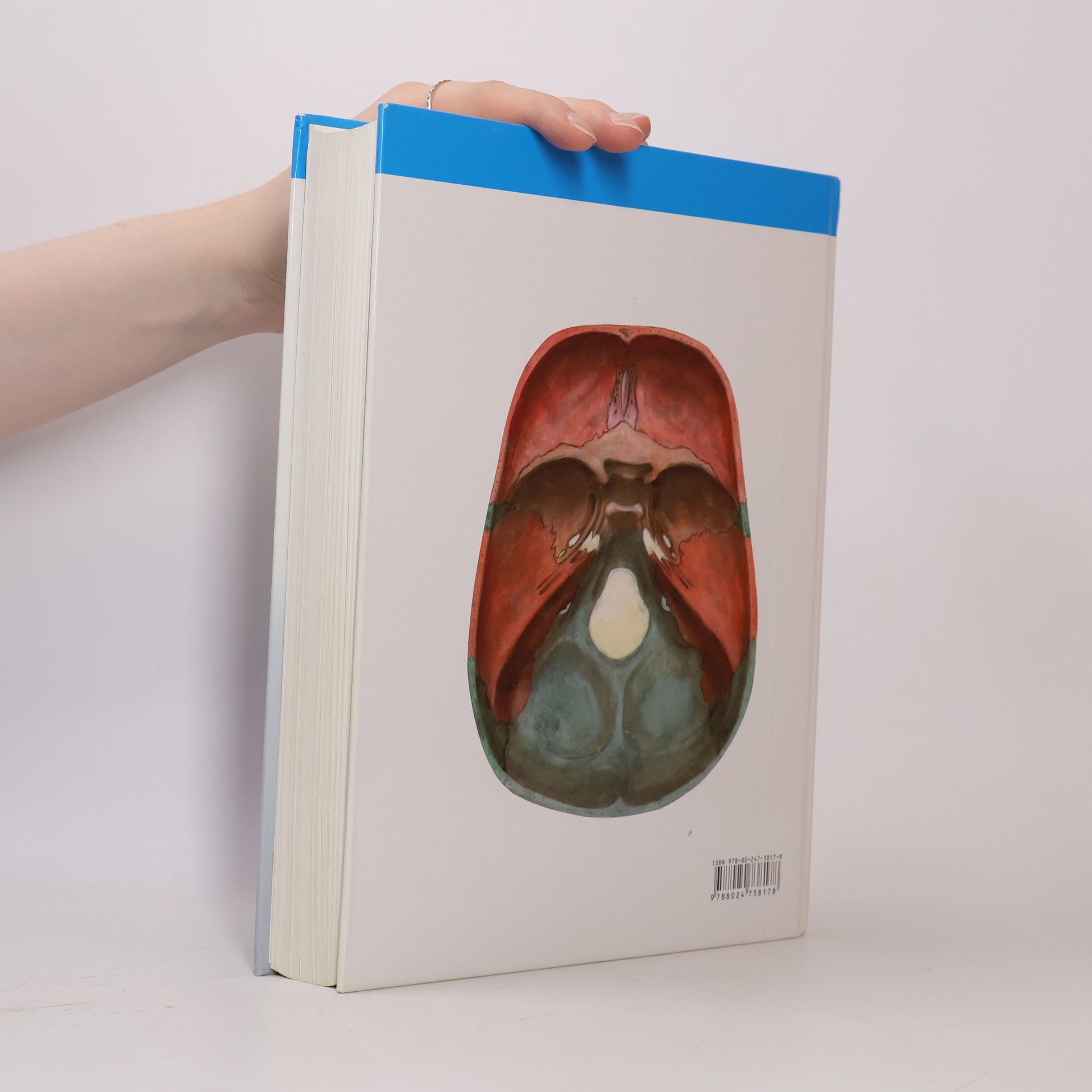 Oldřich Fejfar Anatomie 1