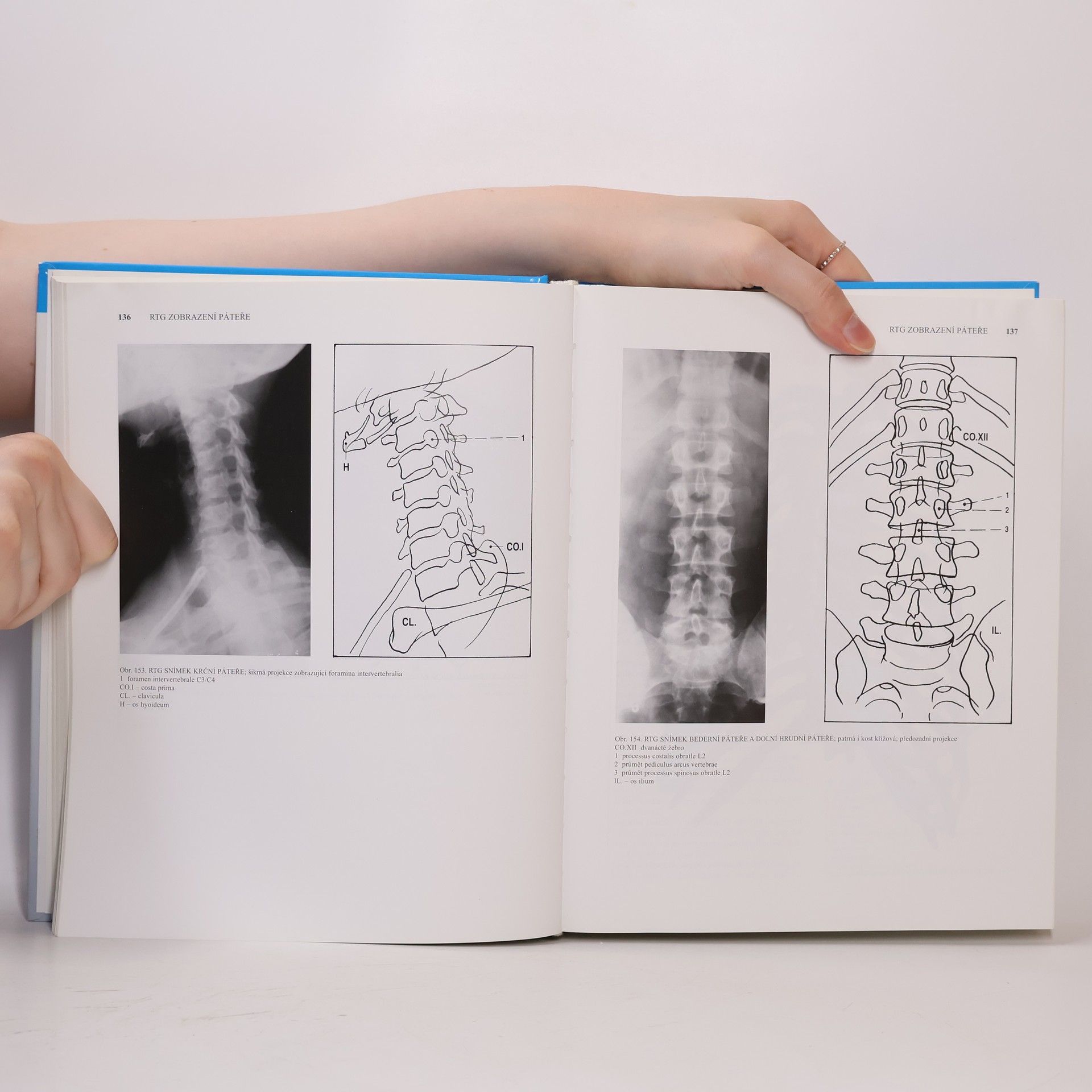 Oldřich Fejfar Anatomie 1