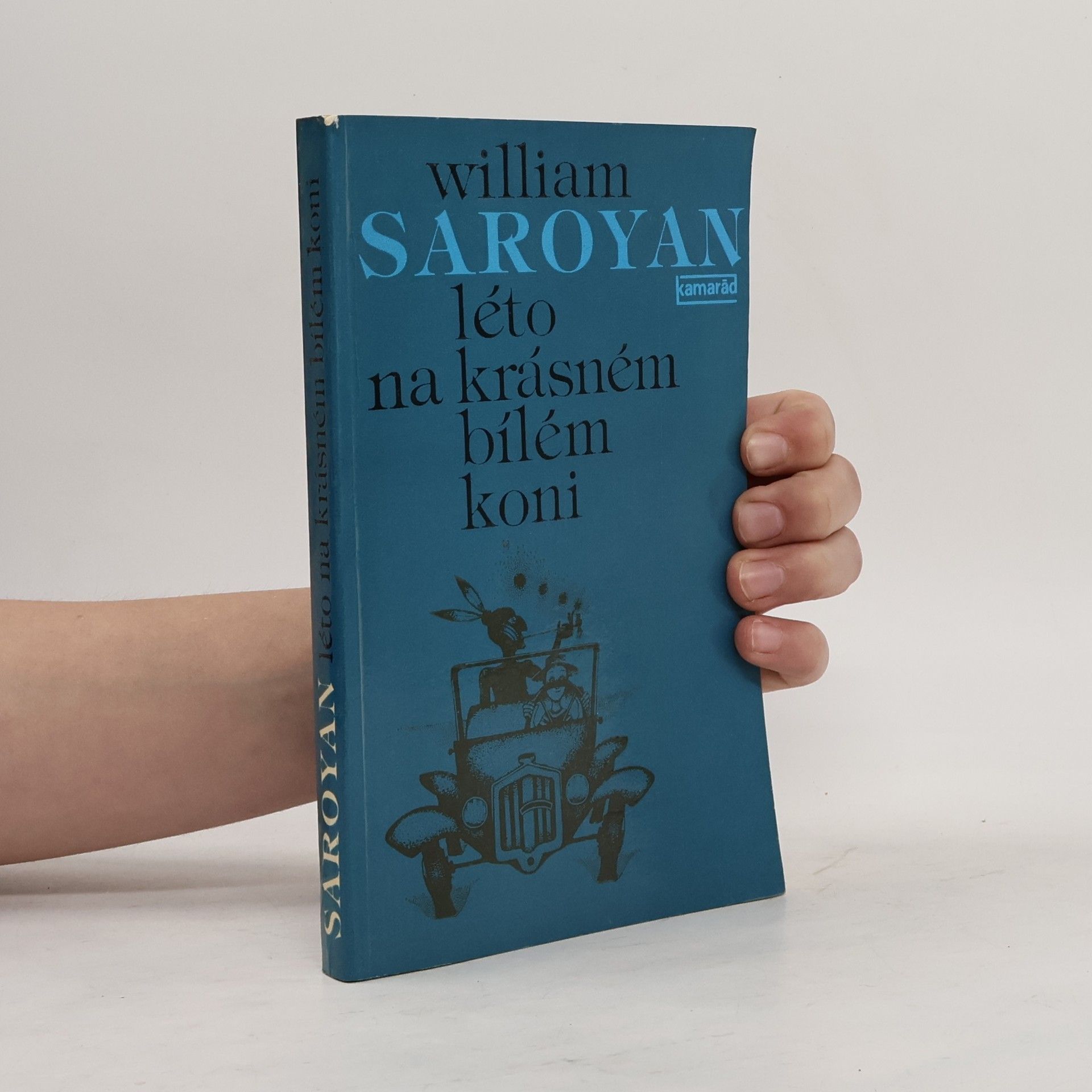 William peneyan Léto na krásném bílém koni