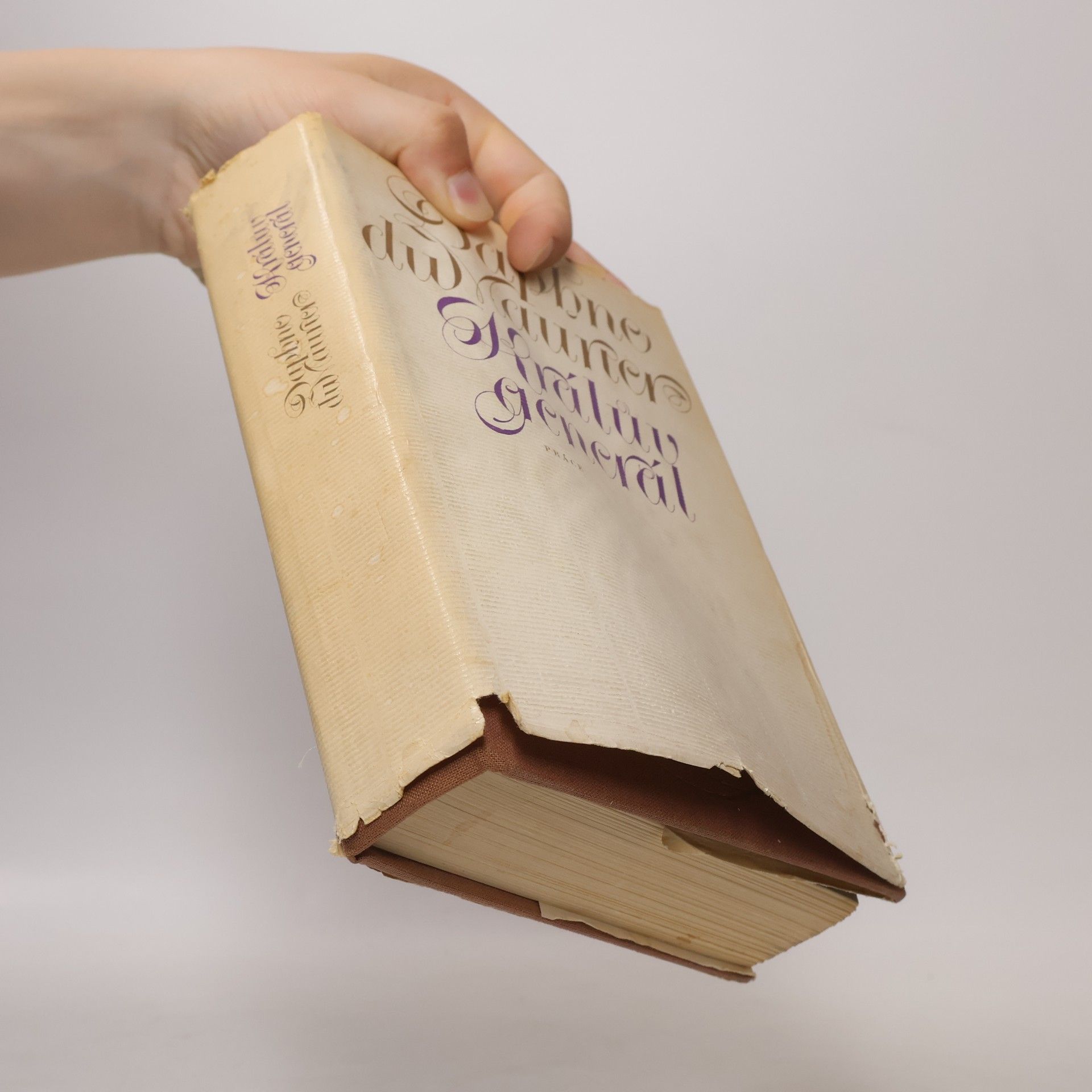 Daphne Du Maurier Králův generál