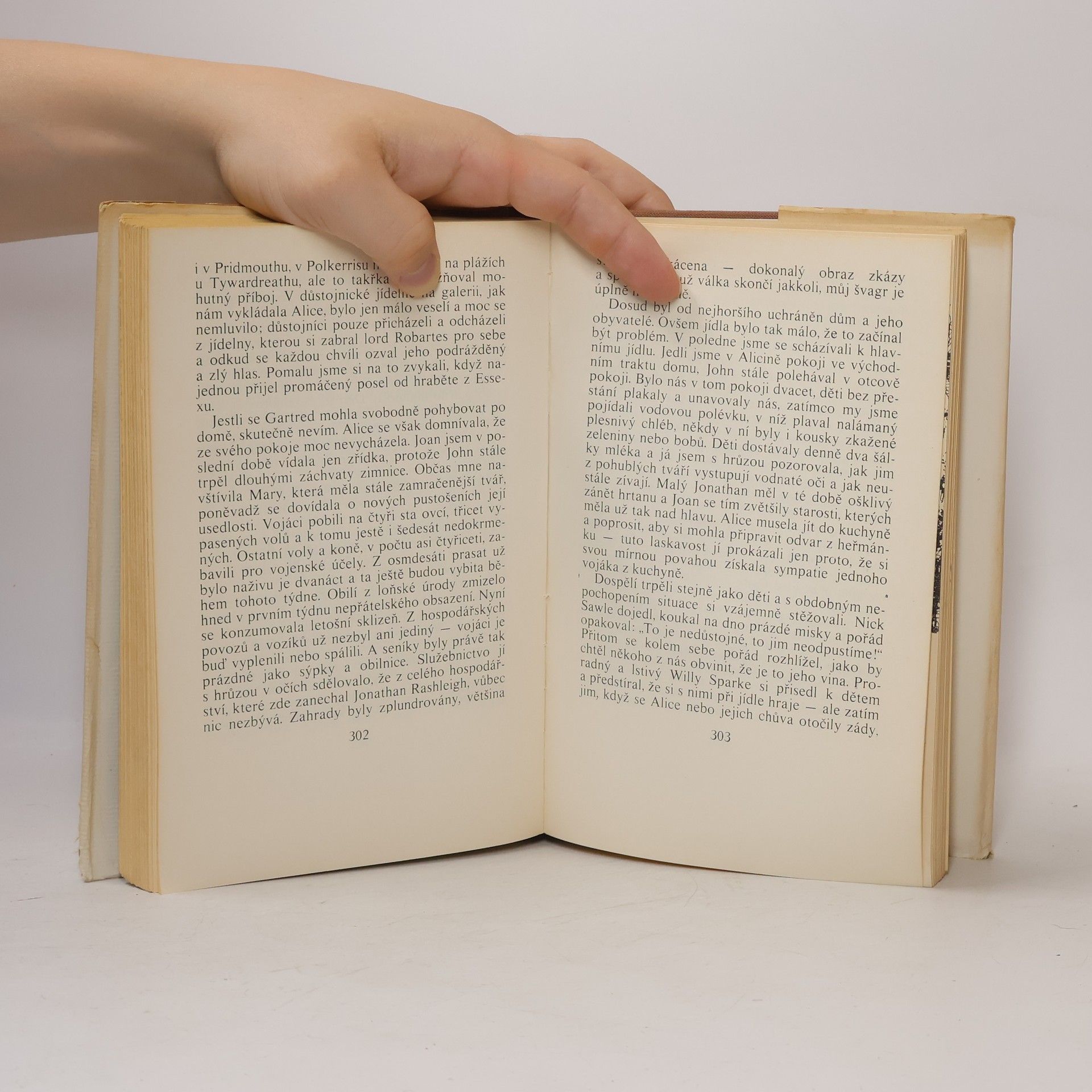 Daphne Du Maurier Králův generál