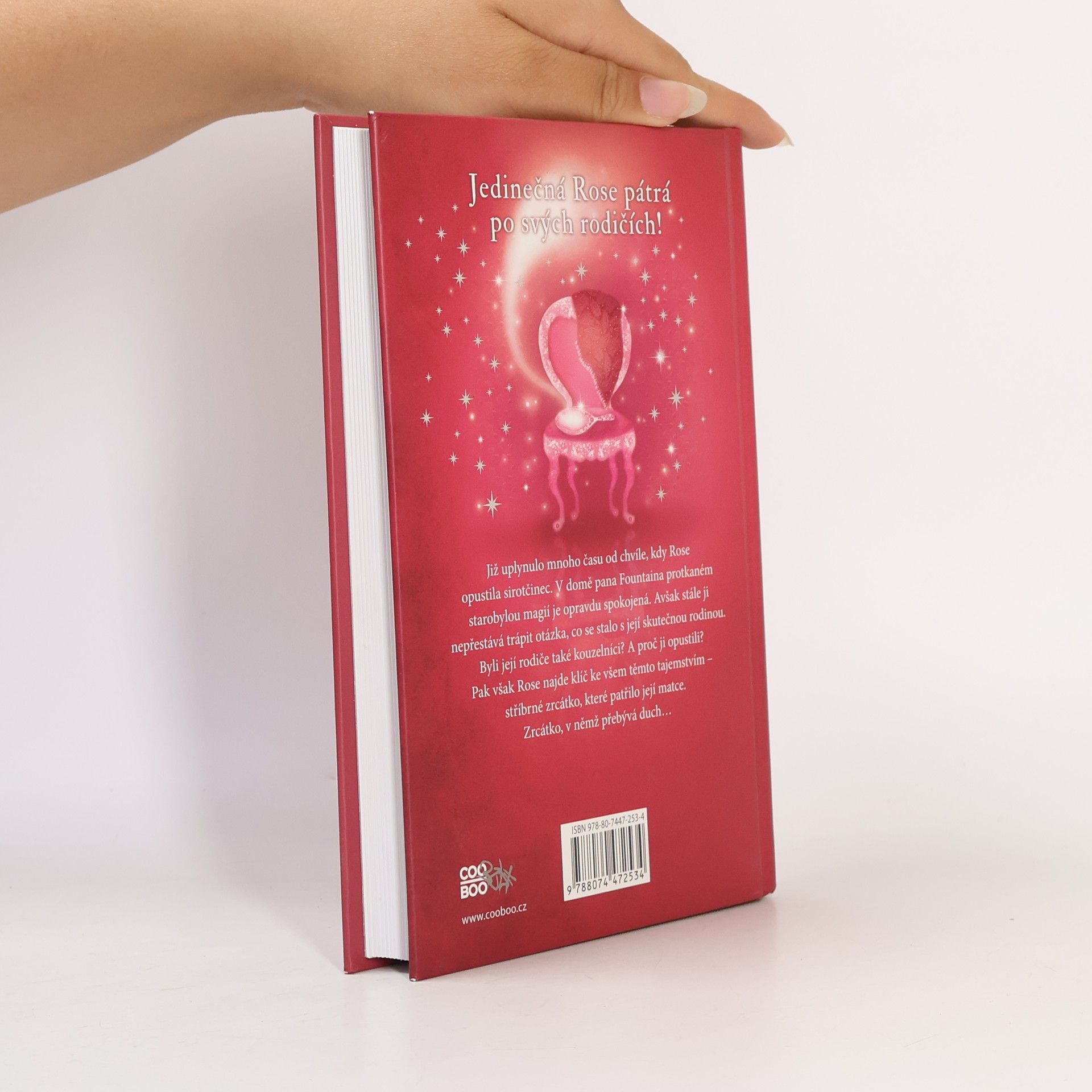Holly Webb Rose a stříbrný duch