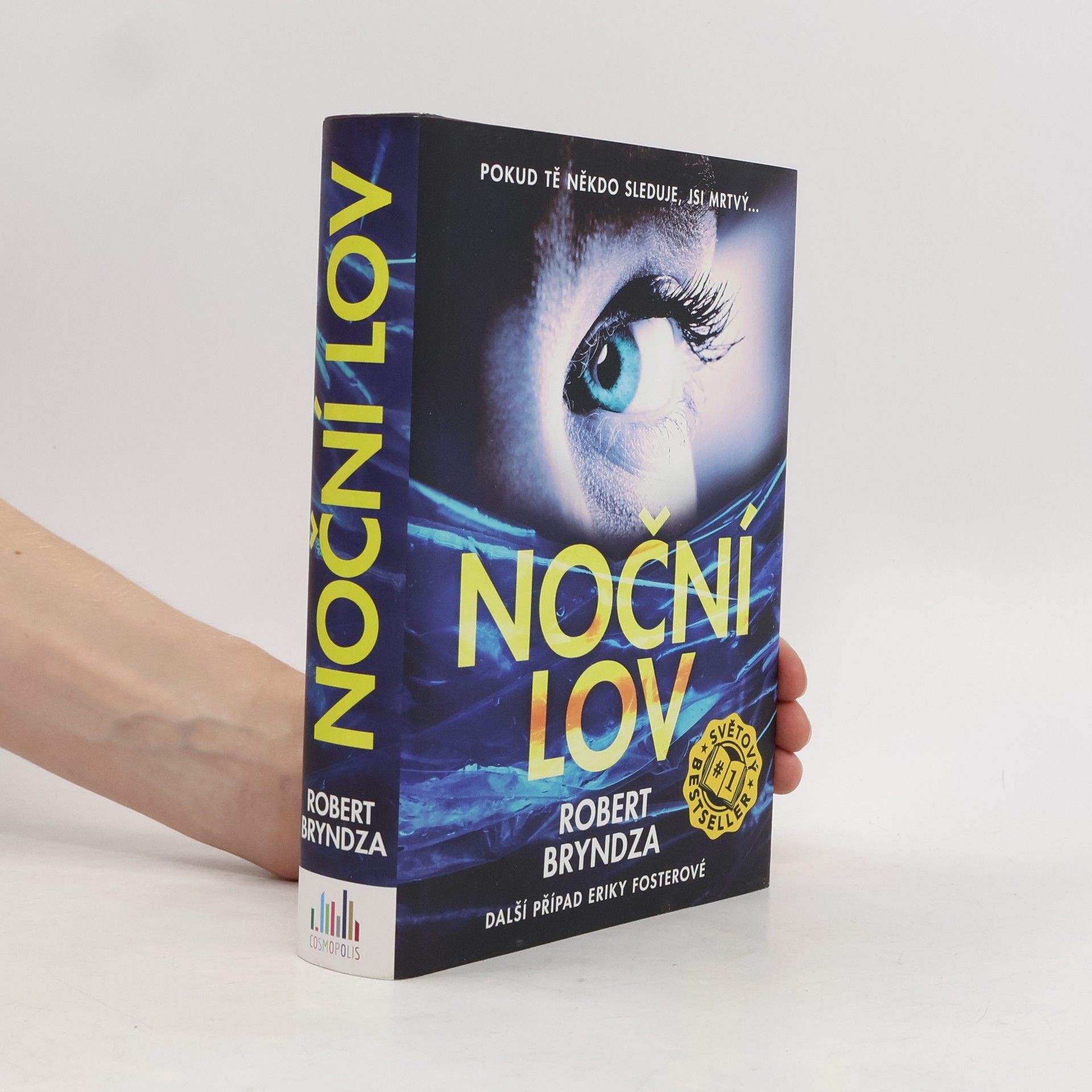 Robert Bryndza Noční lov