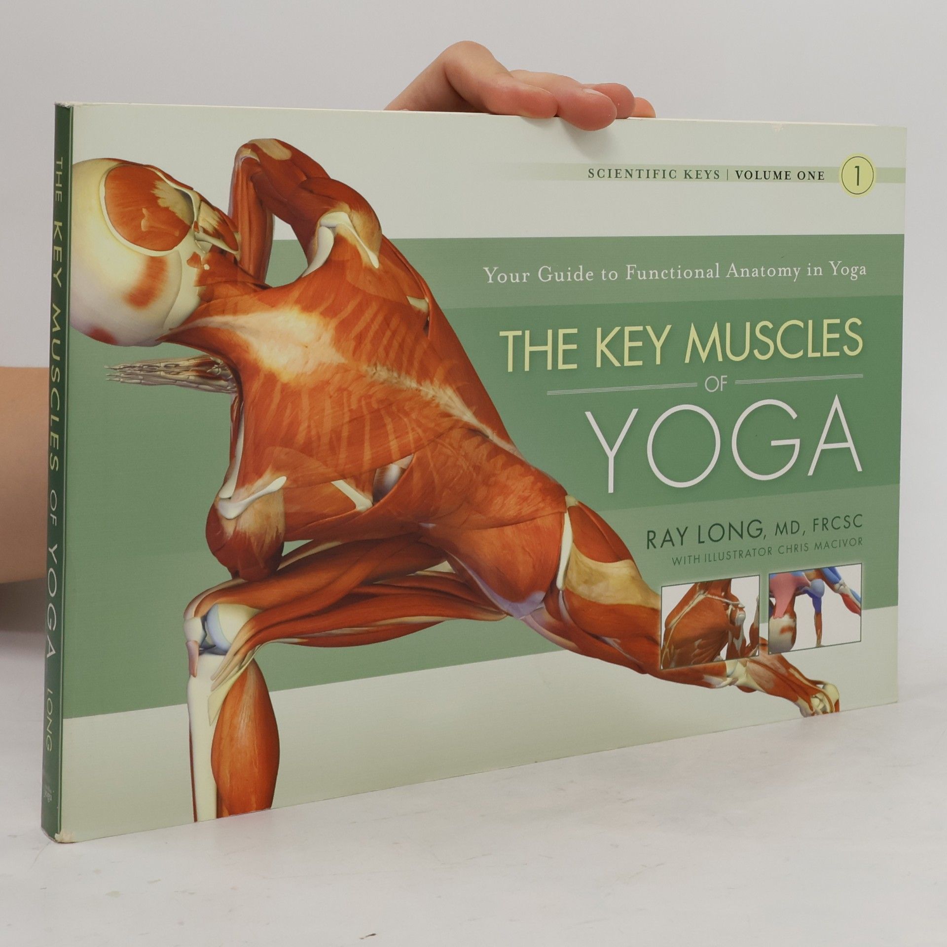 Ray Long The Key Muscles of Yoga