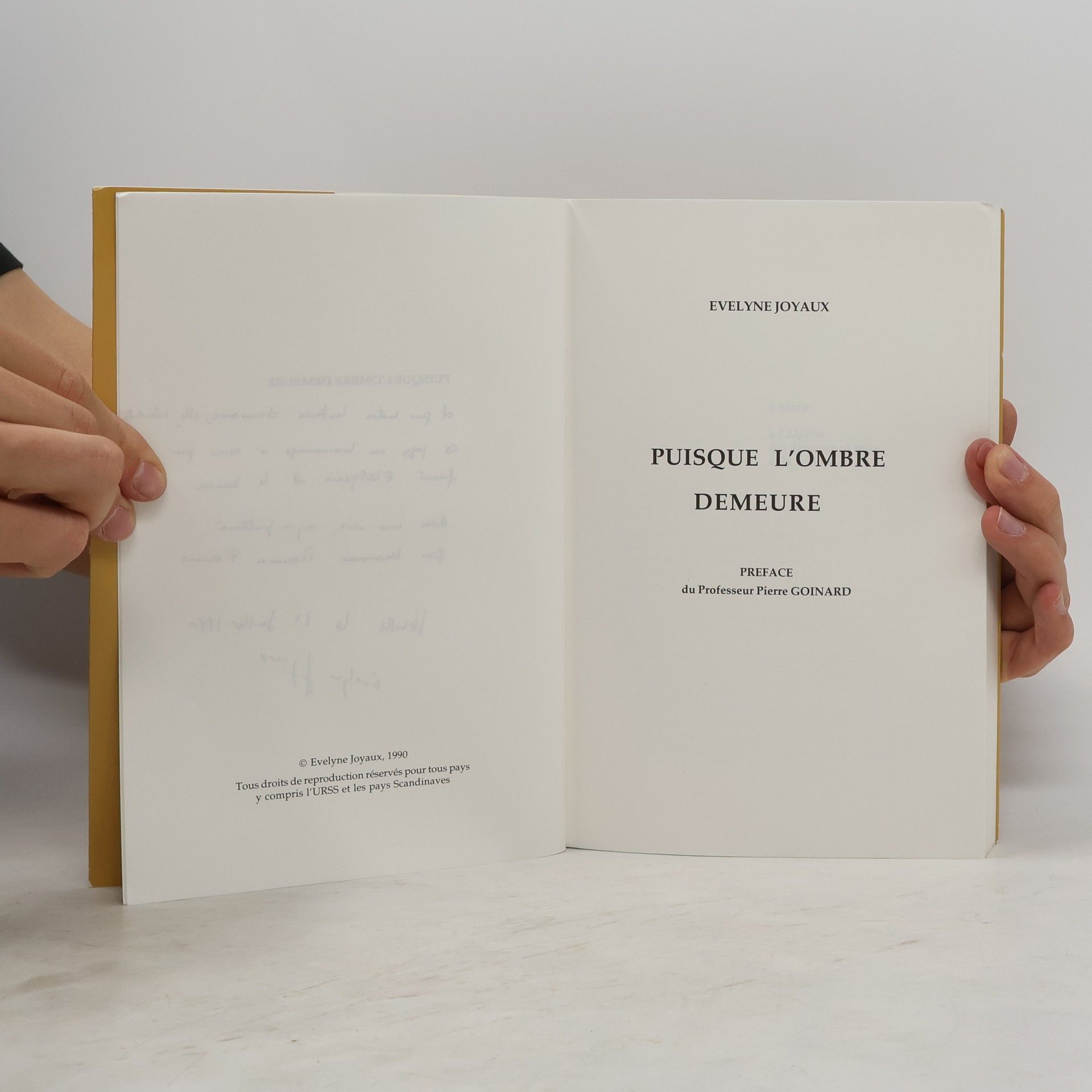Evelyne Joyaux Puisque l'ombre demeure