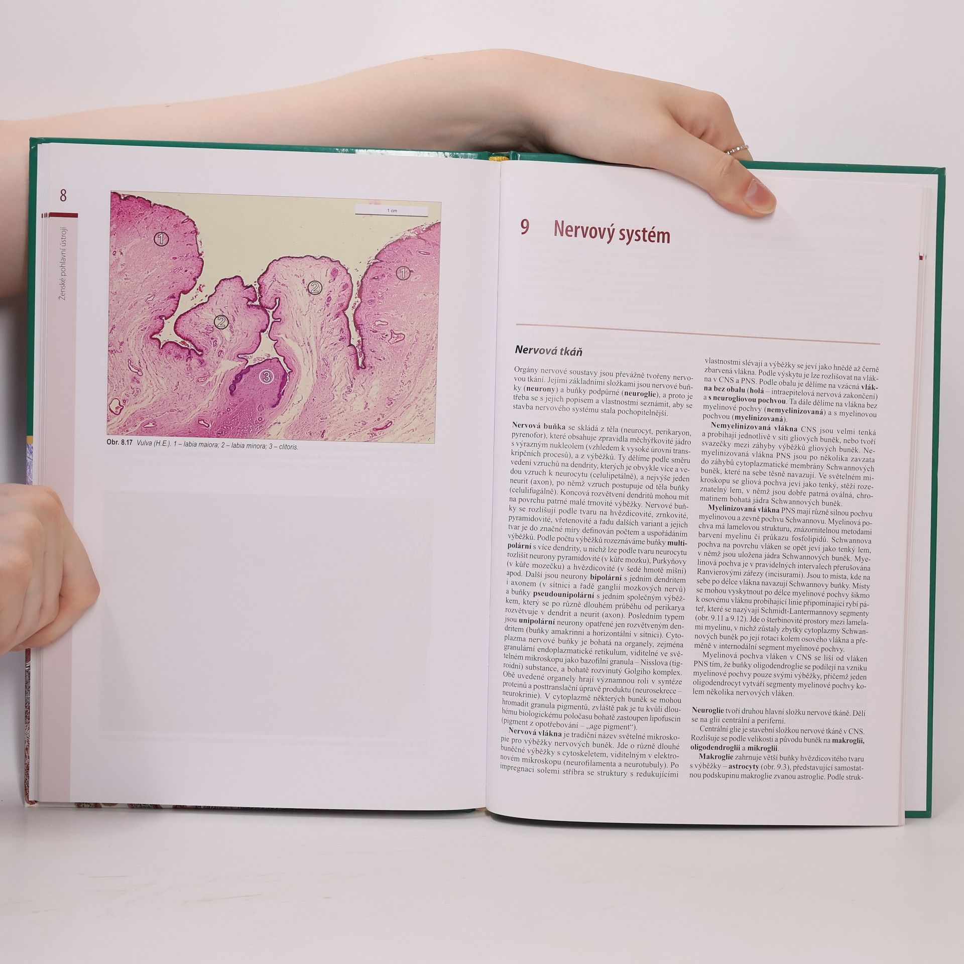 Jindřich Martínek Histologický atlas