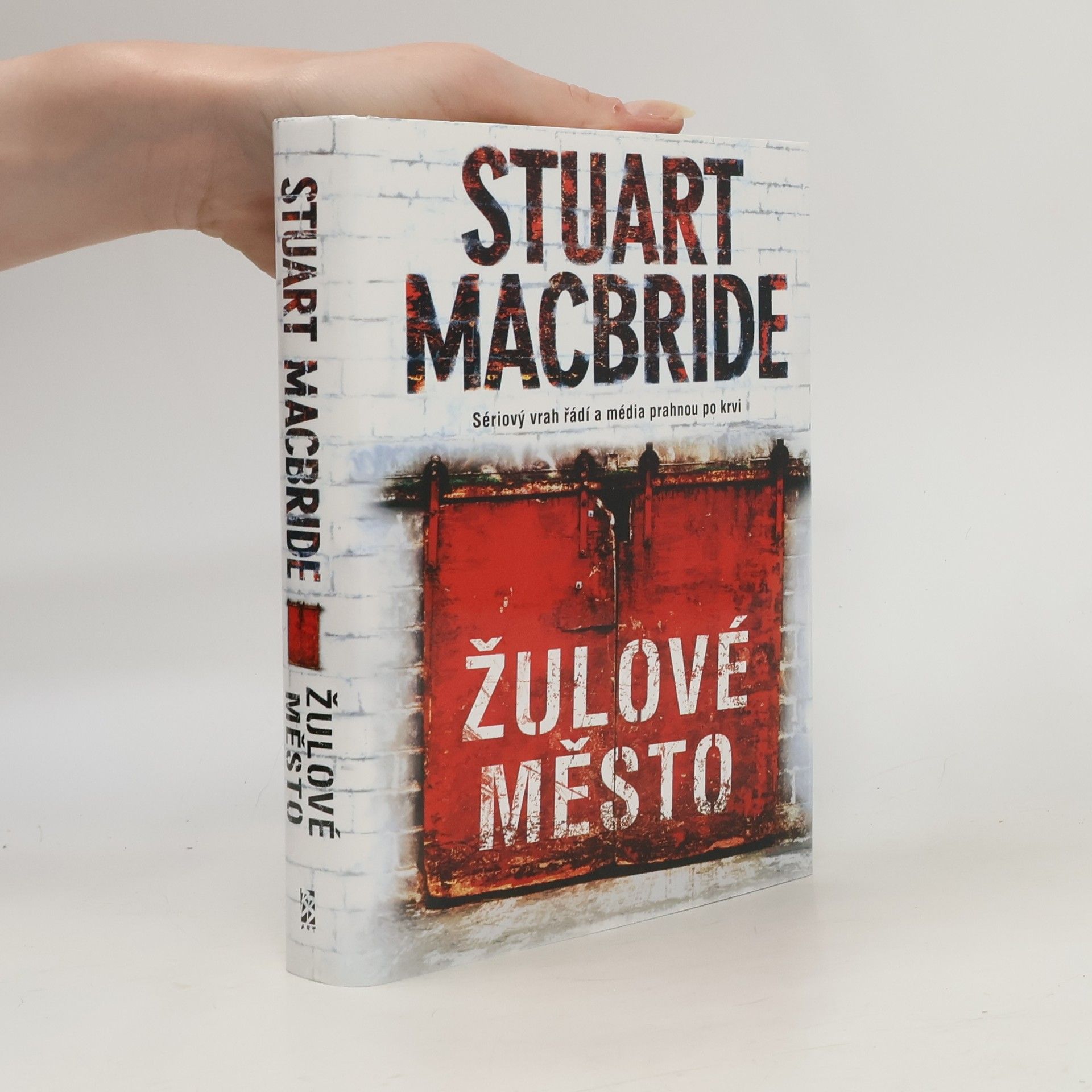Stuart Macbride Žulové město