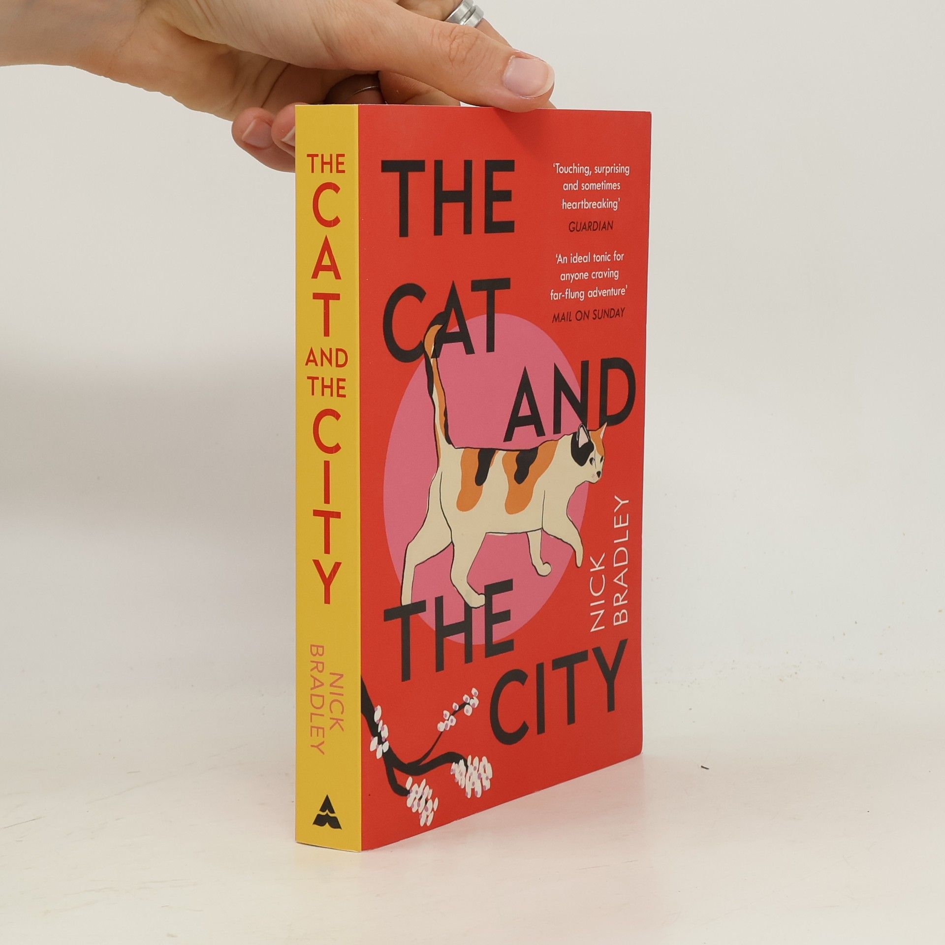 Nick Bradley The Cat and the City