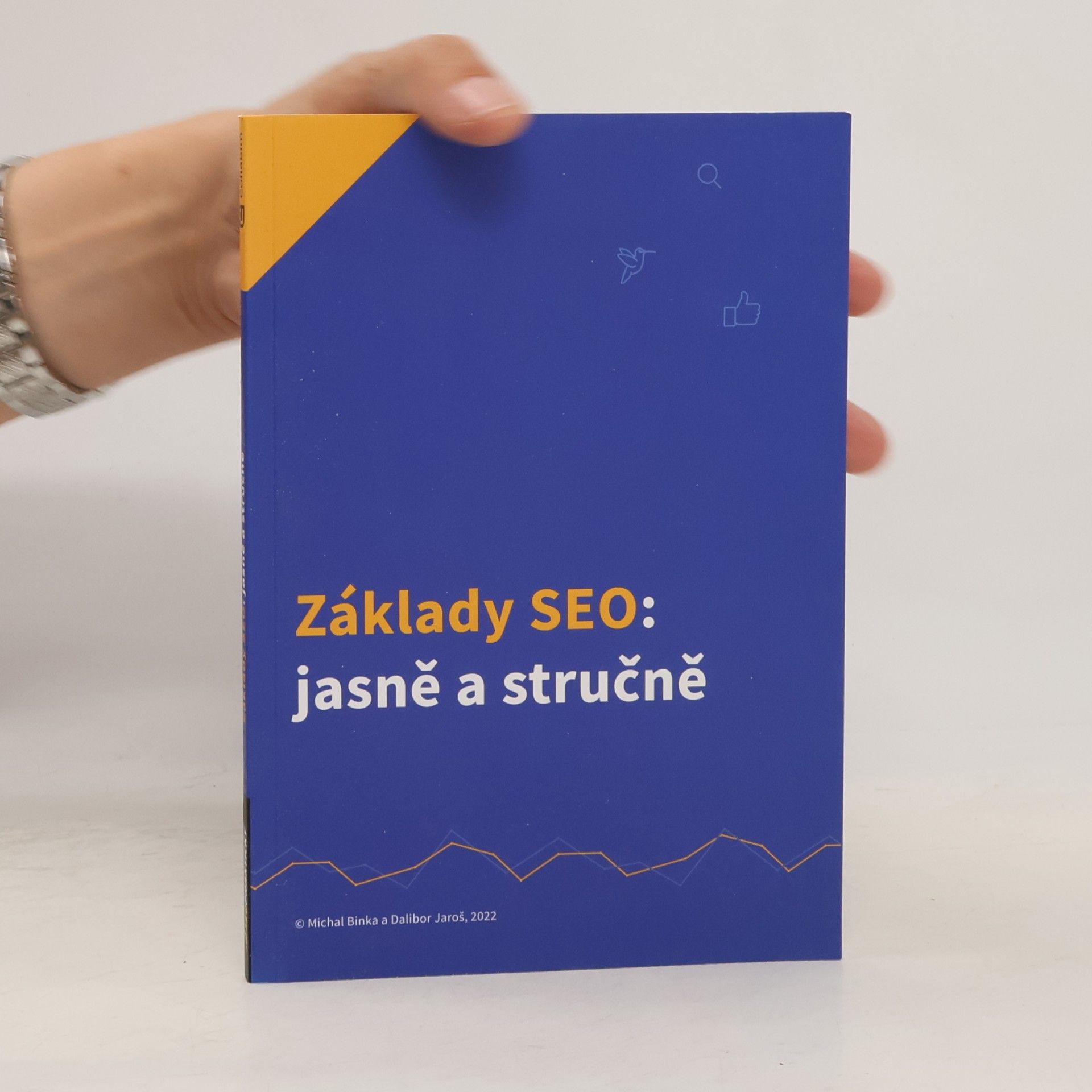Michal Binka Základy SEO: Jasně a stručně