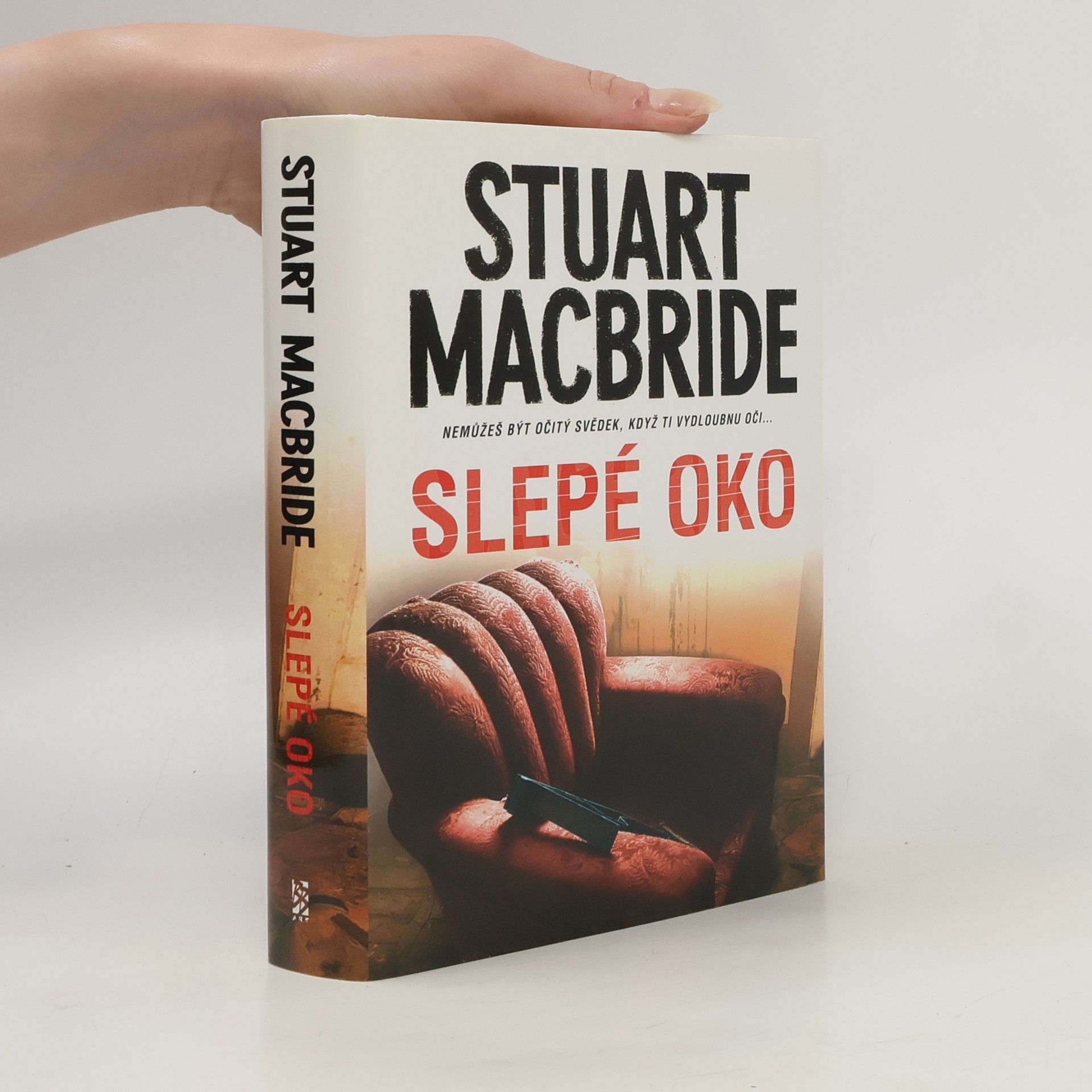 Stuart Macbride Slepé oko