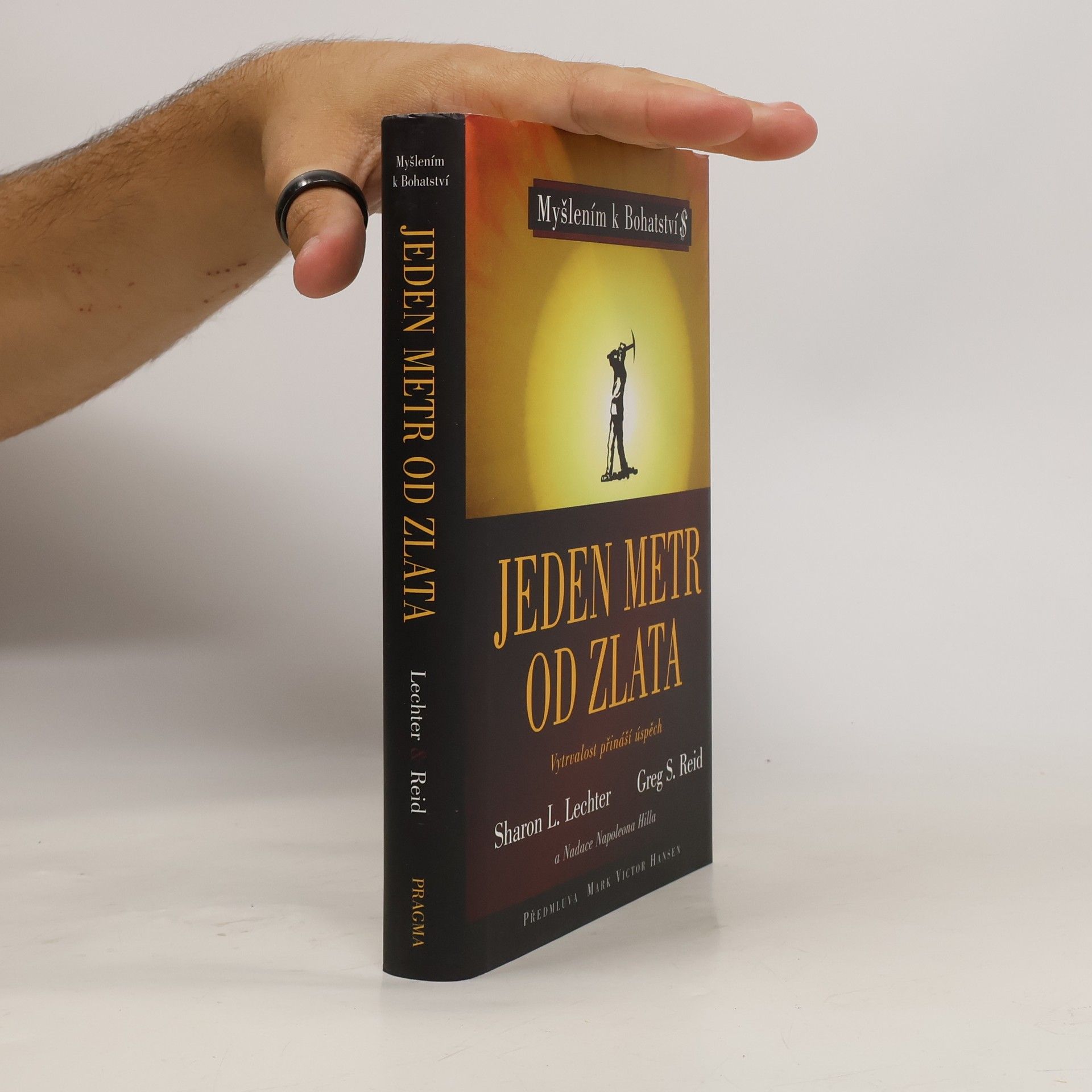 Kolektiv autorů Jeden metr od zlata. Vytrvalost přináší úspěch
