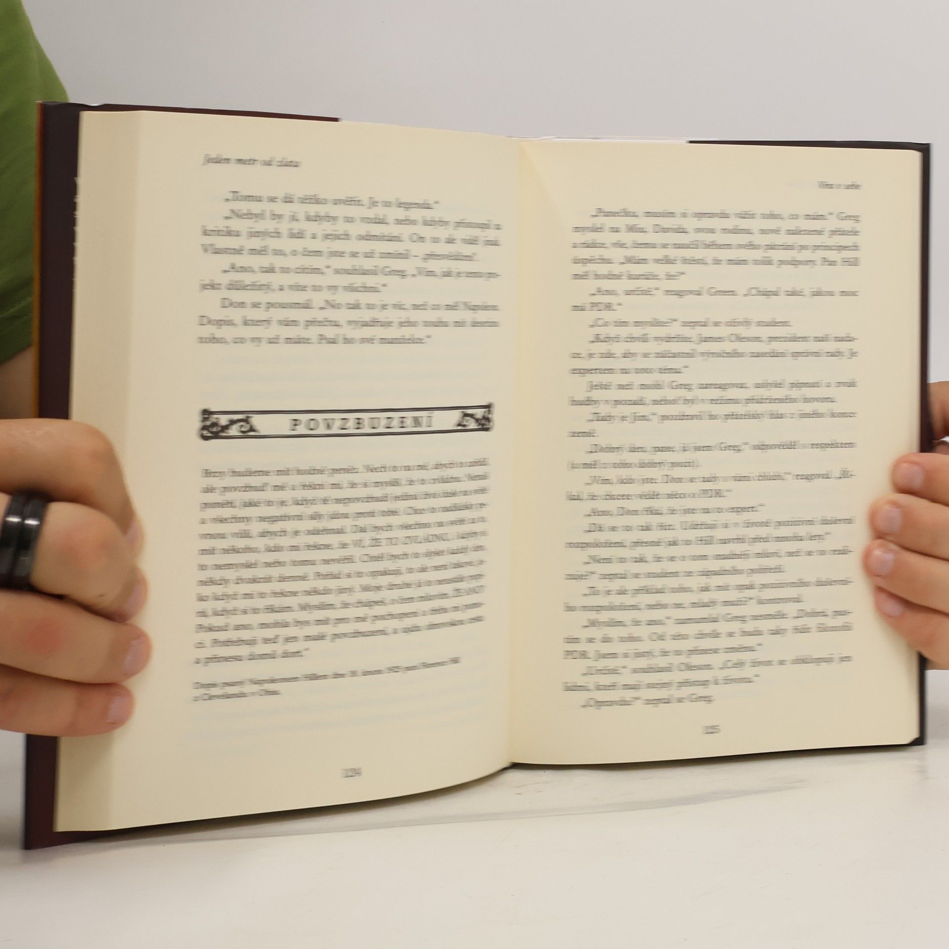 Autorenkollektiv Jeden metr od zlata. Vytrvalost přináší úspěch