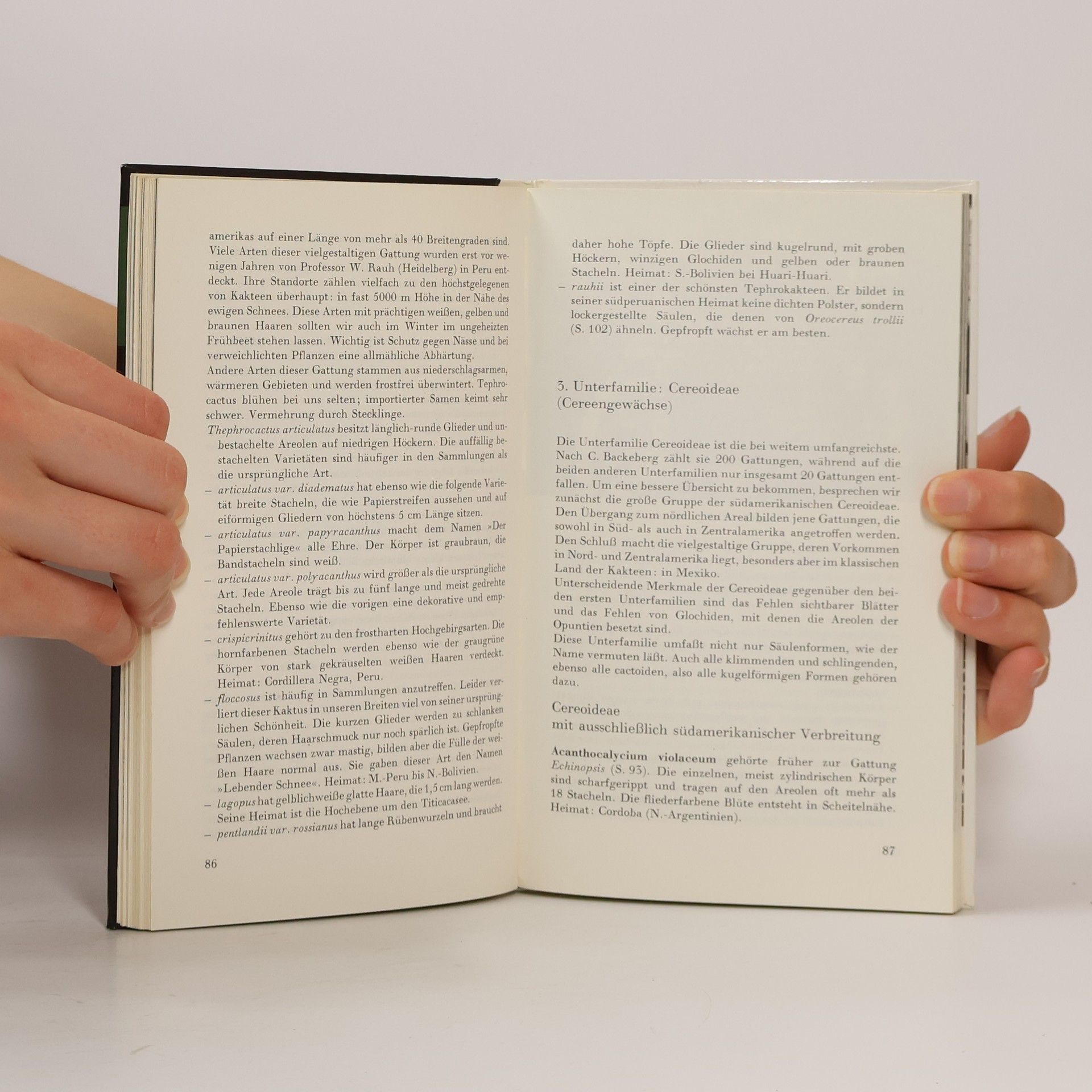 Werner Hoffmann Das kleine Kakteenbuch