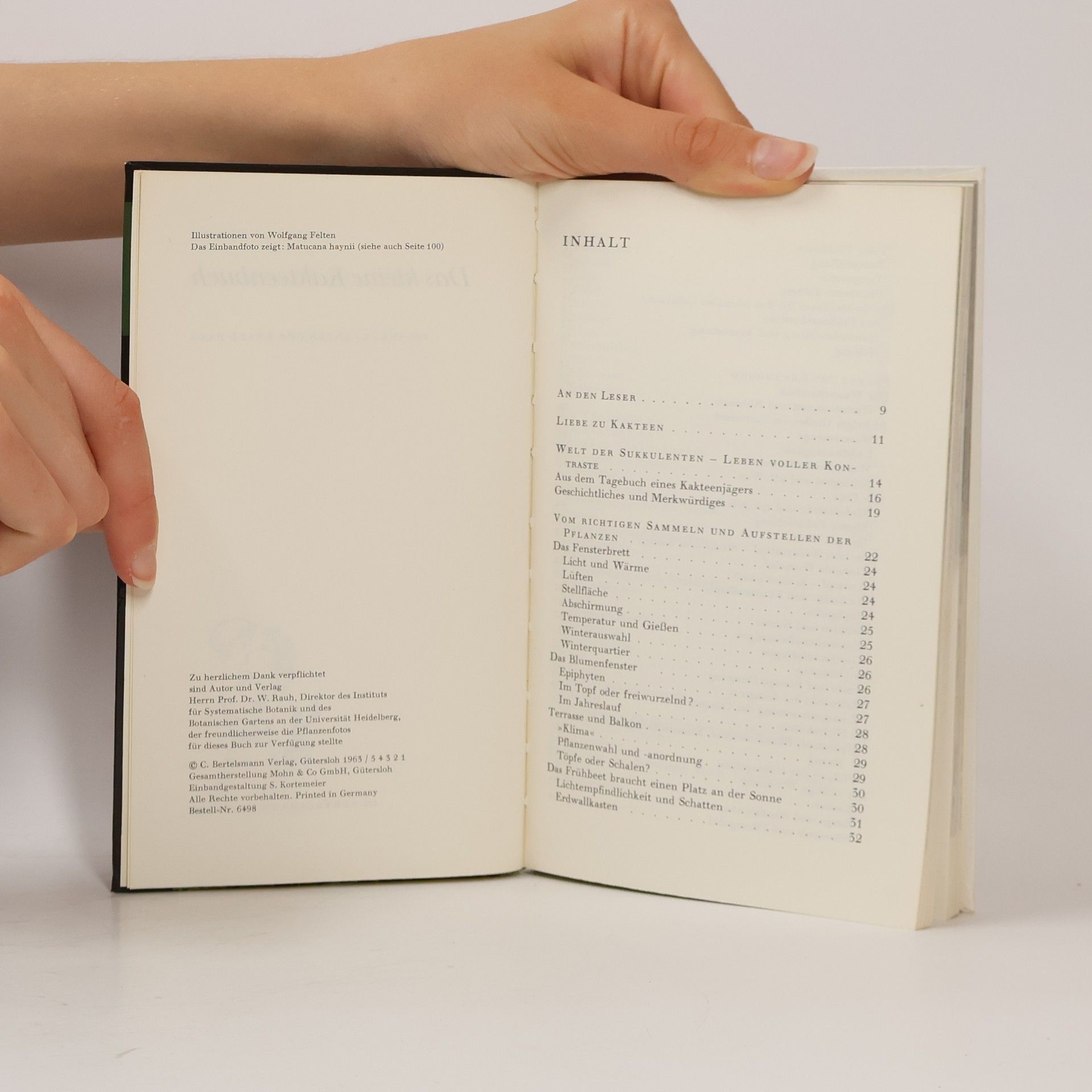 Werner Hoffmann Das kleine Kakteenbuch