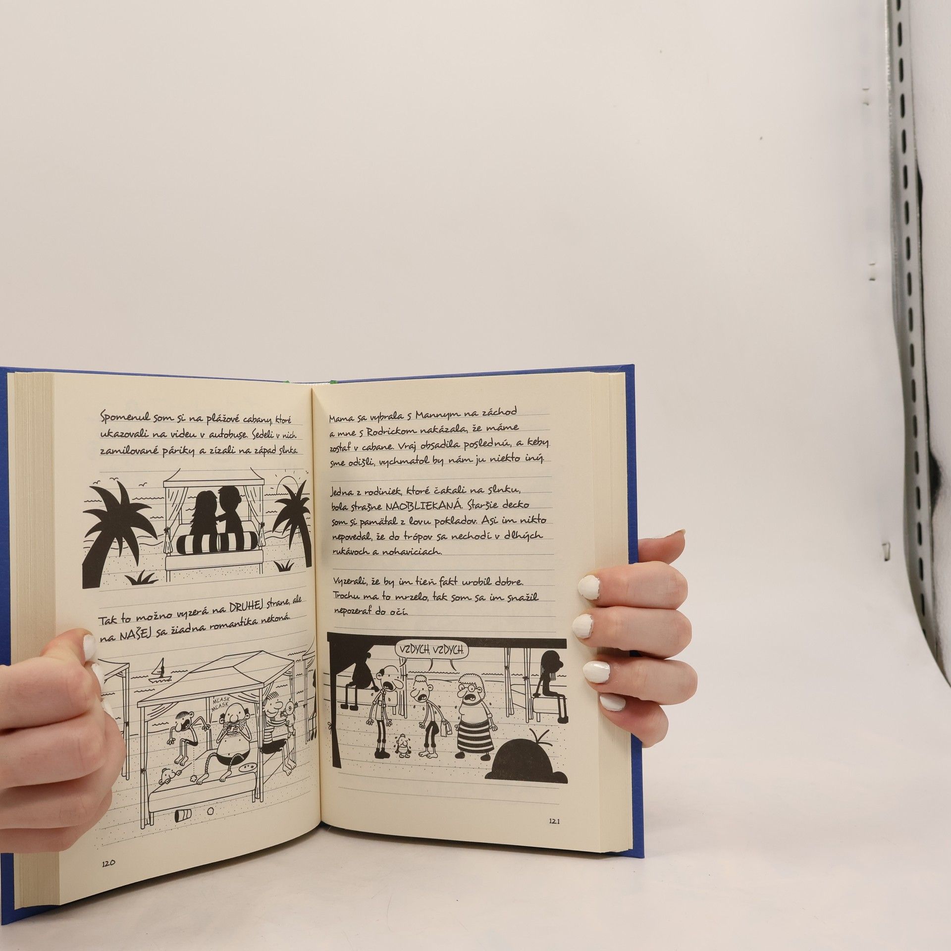Jeff Kinney Denník odvážneho bojka 12. Rodinný úlet