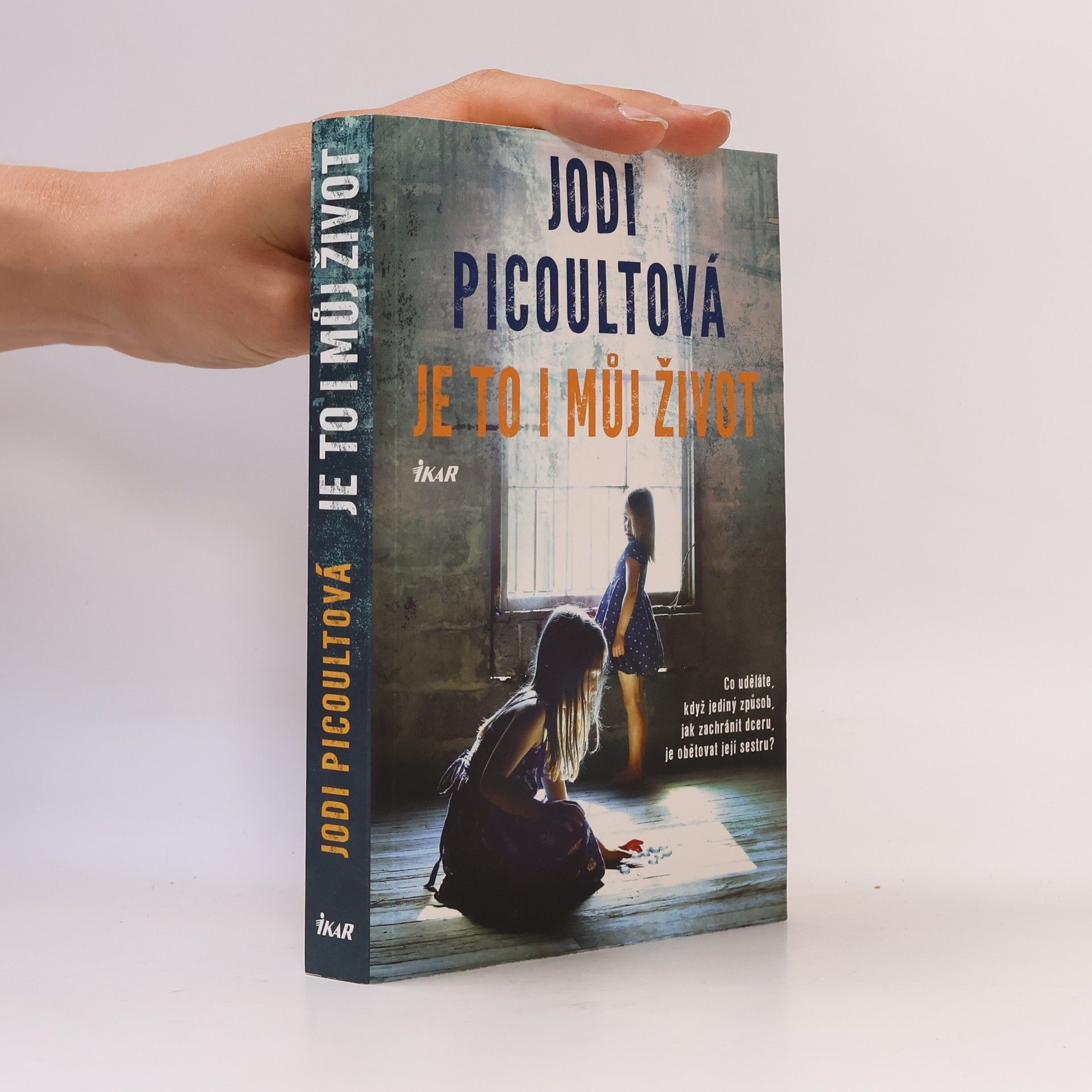 Jodi Picoult Je to i můj život