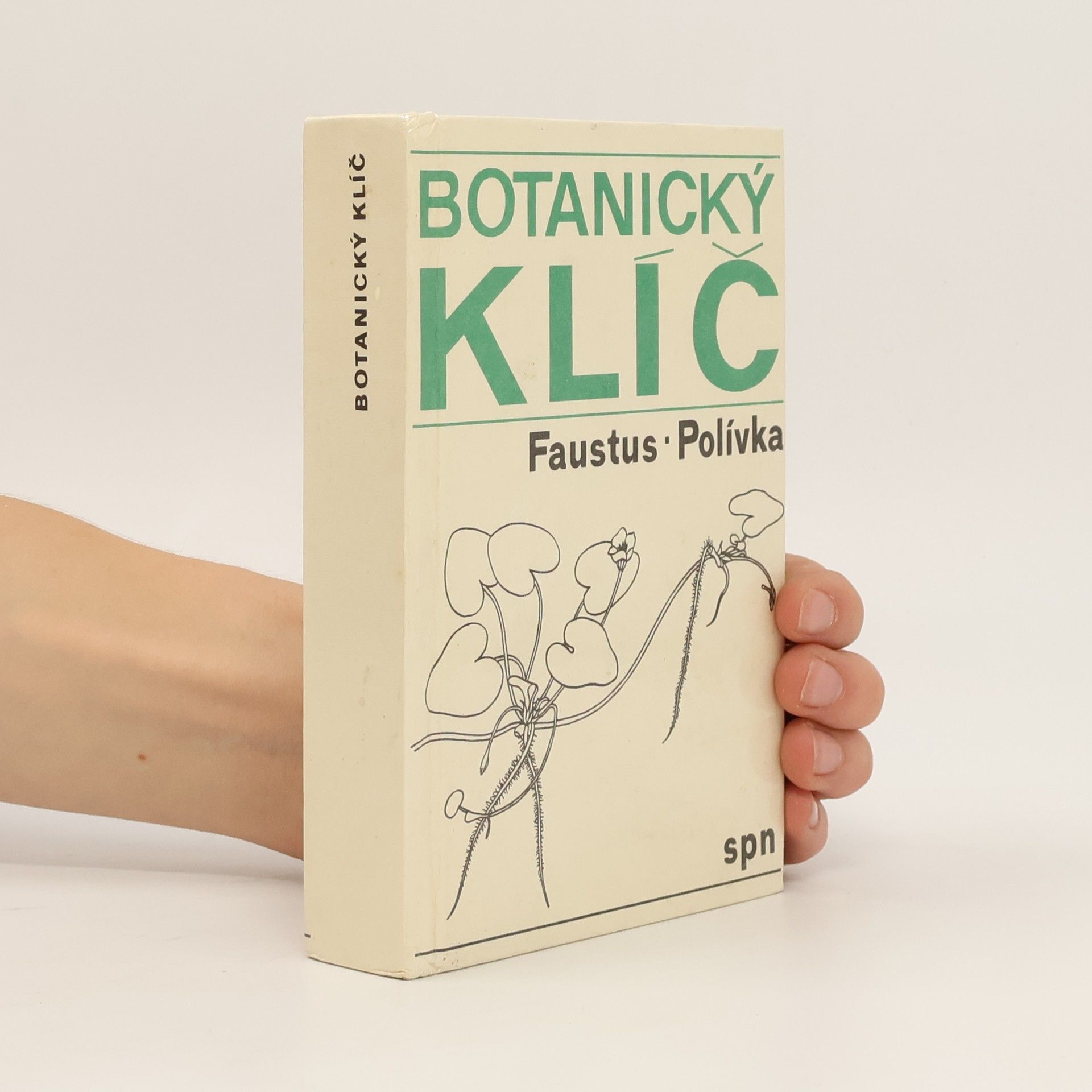 Luděk Faustus Botanický klíč