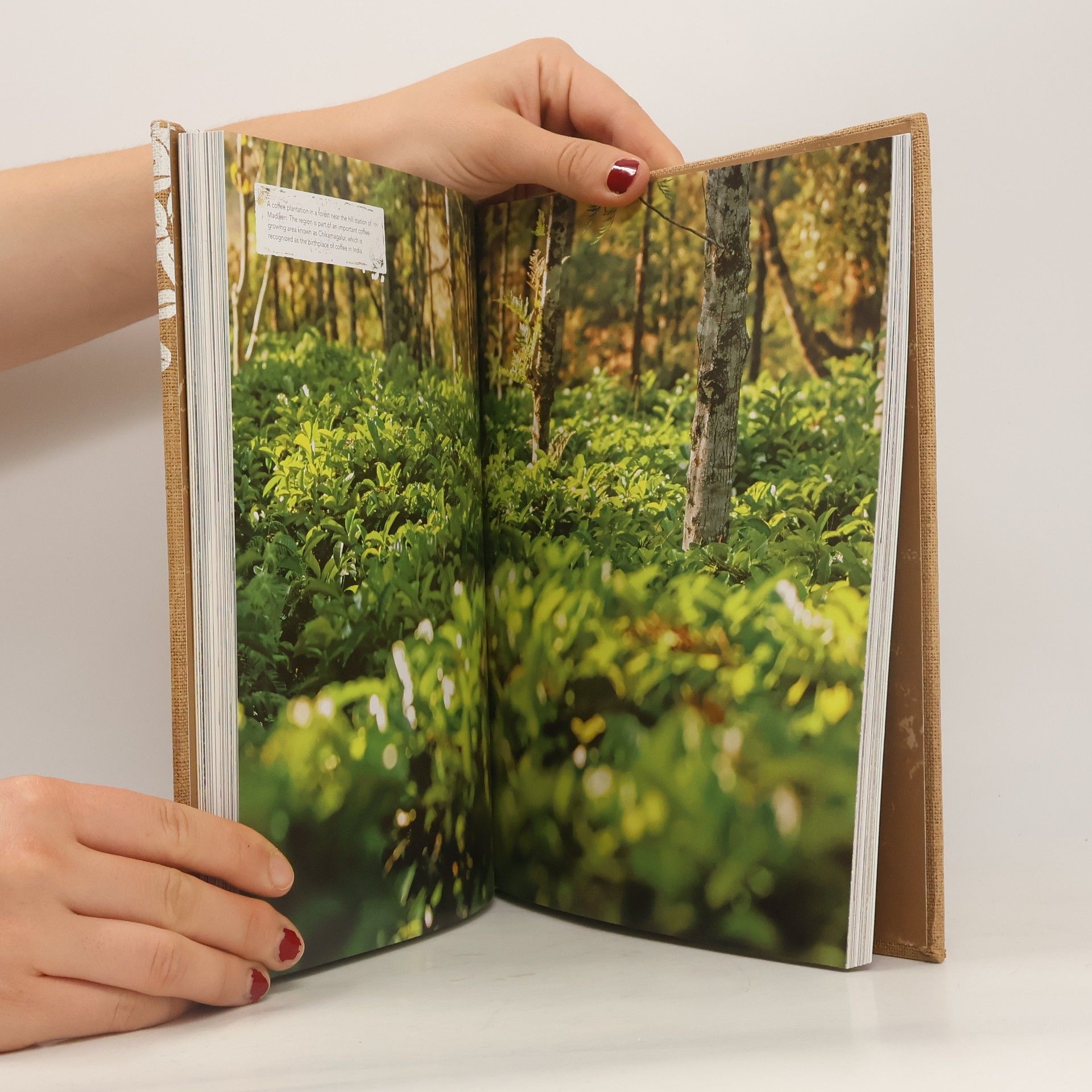 James Hoffman The World Atlas of Coffee