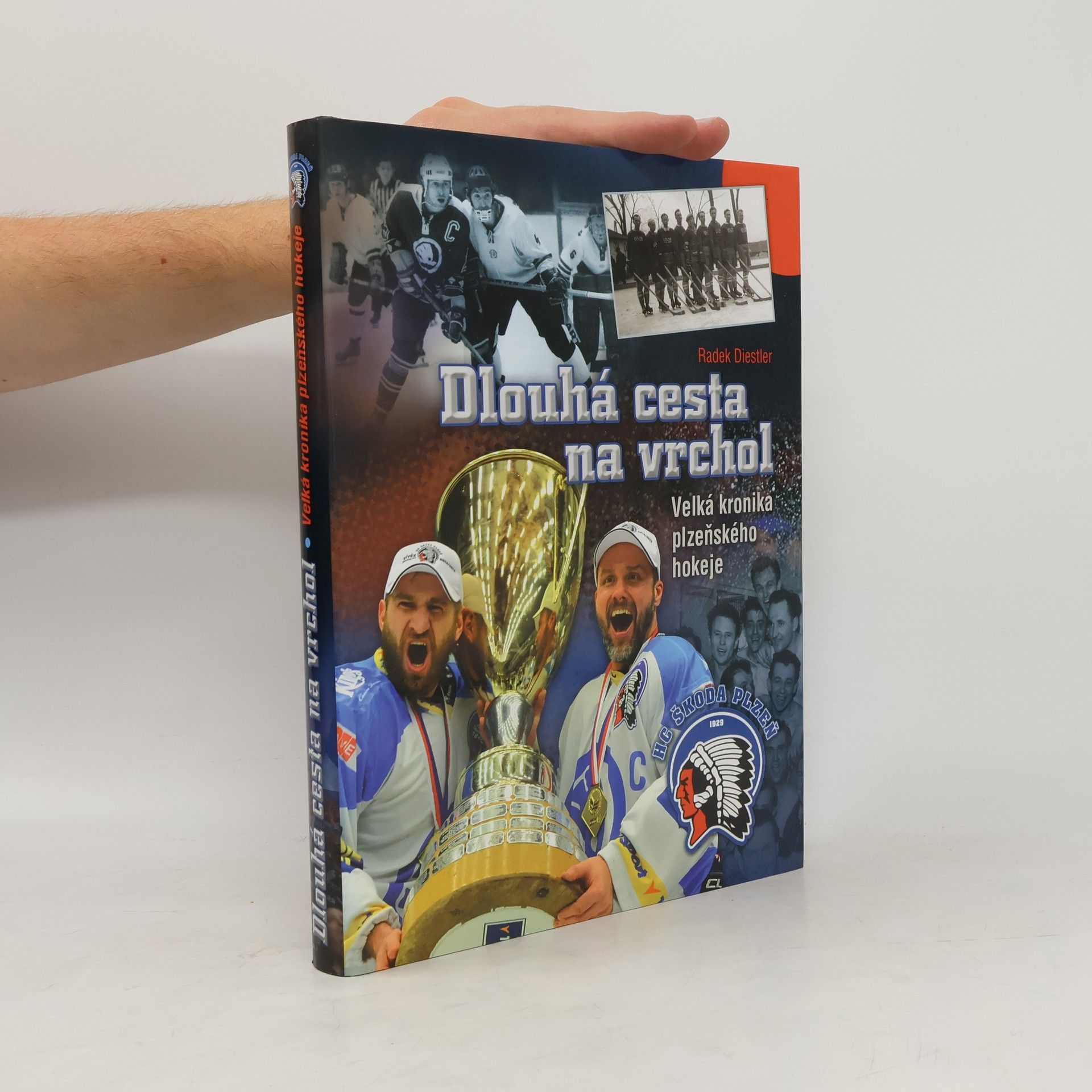 Radek Diestler Dlouhá cesta na vrchol