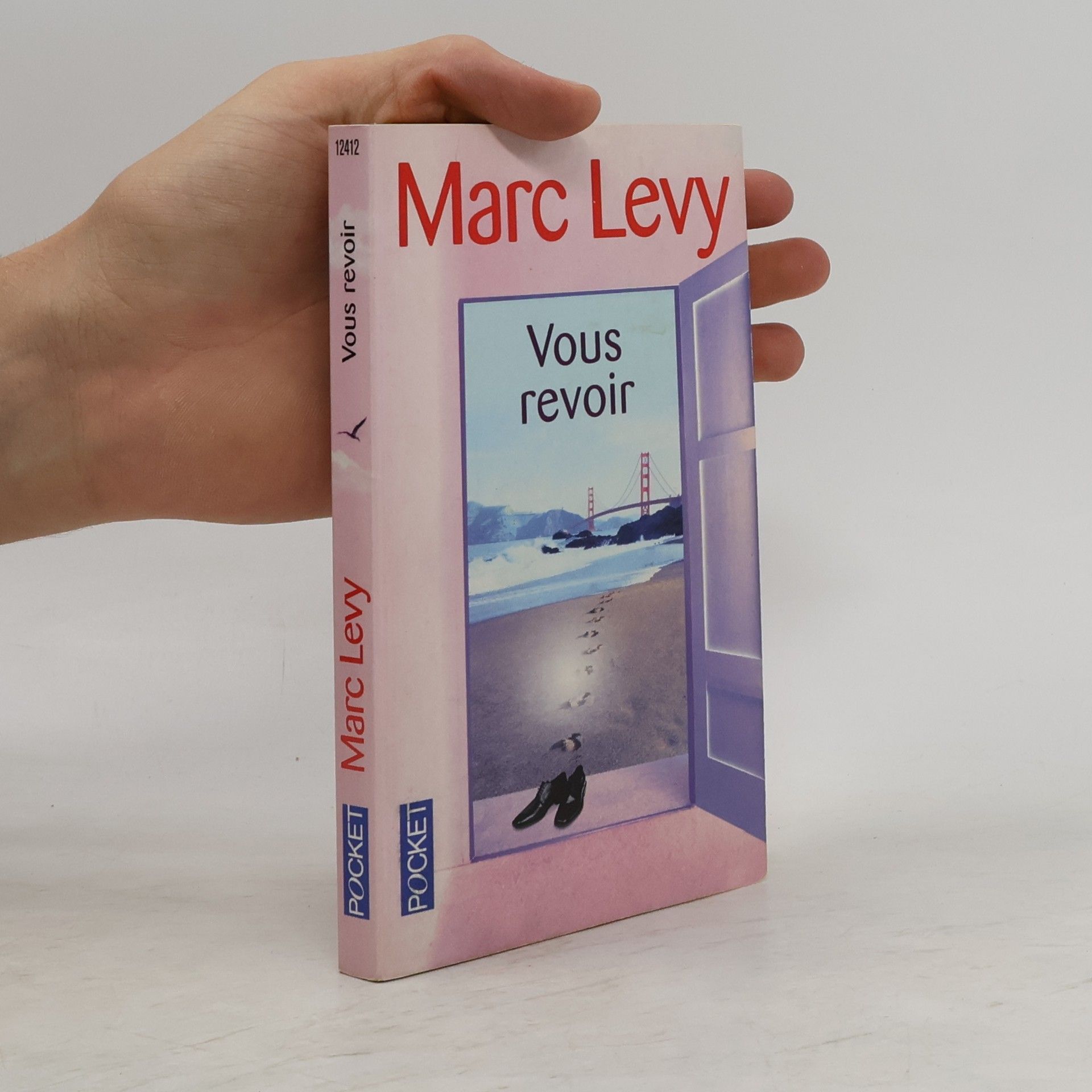 Marc Lévy Vous revoir
