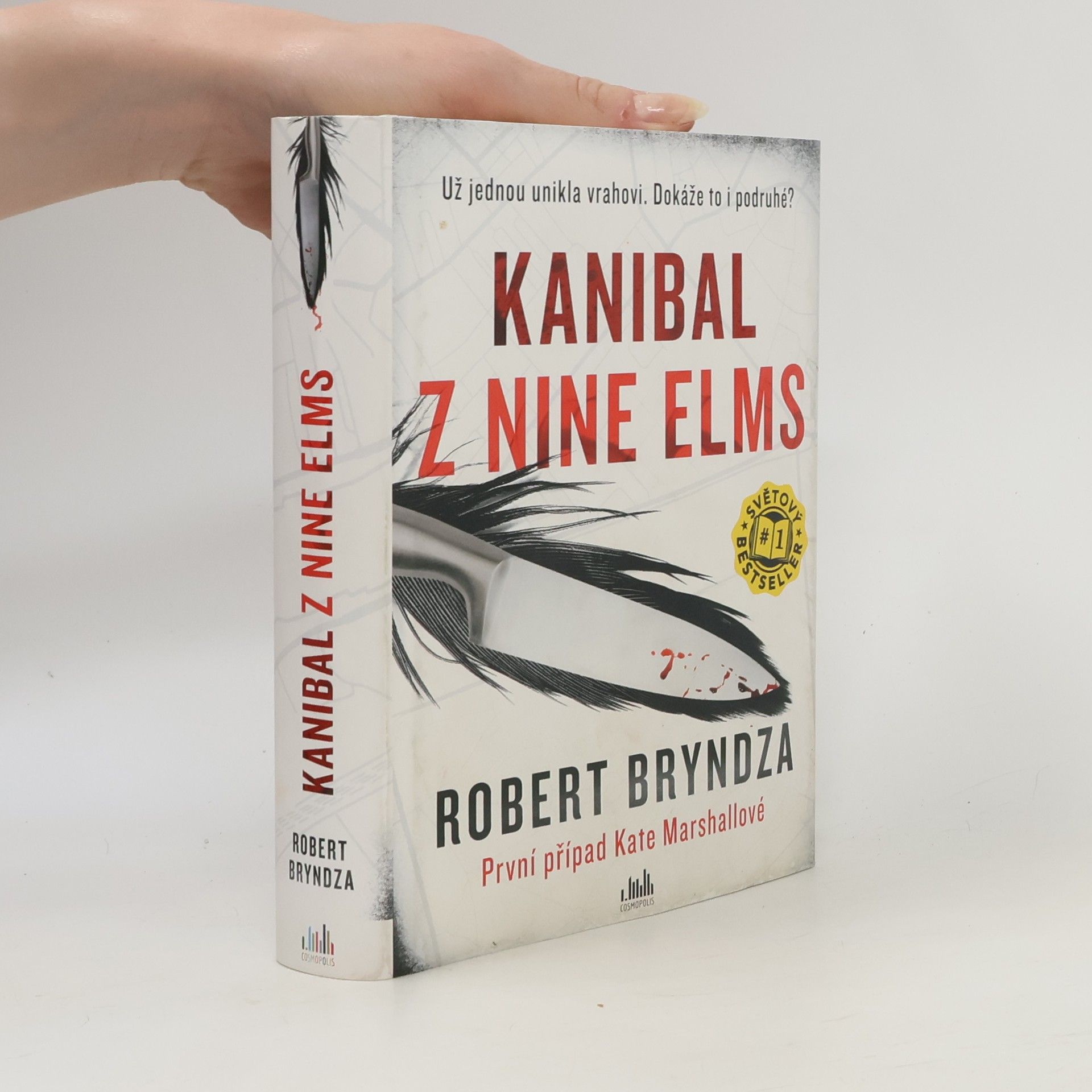 Robert Bryndza Kanibal z Nine Elms