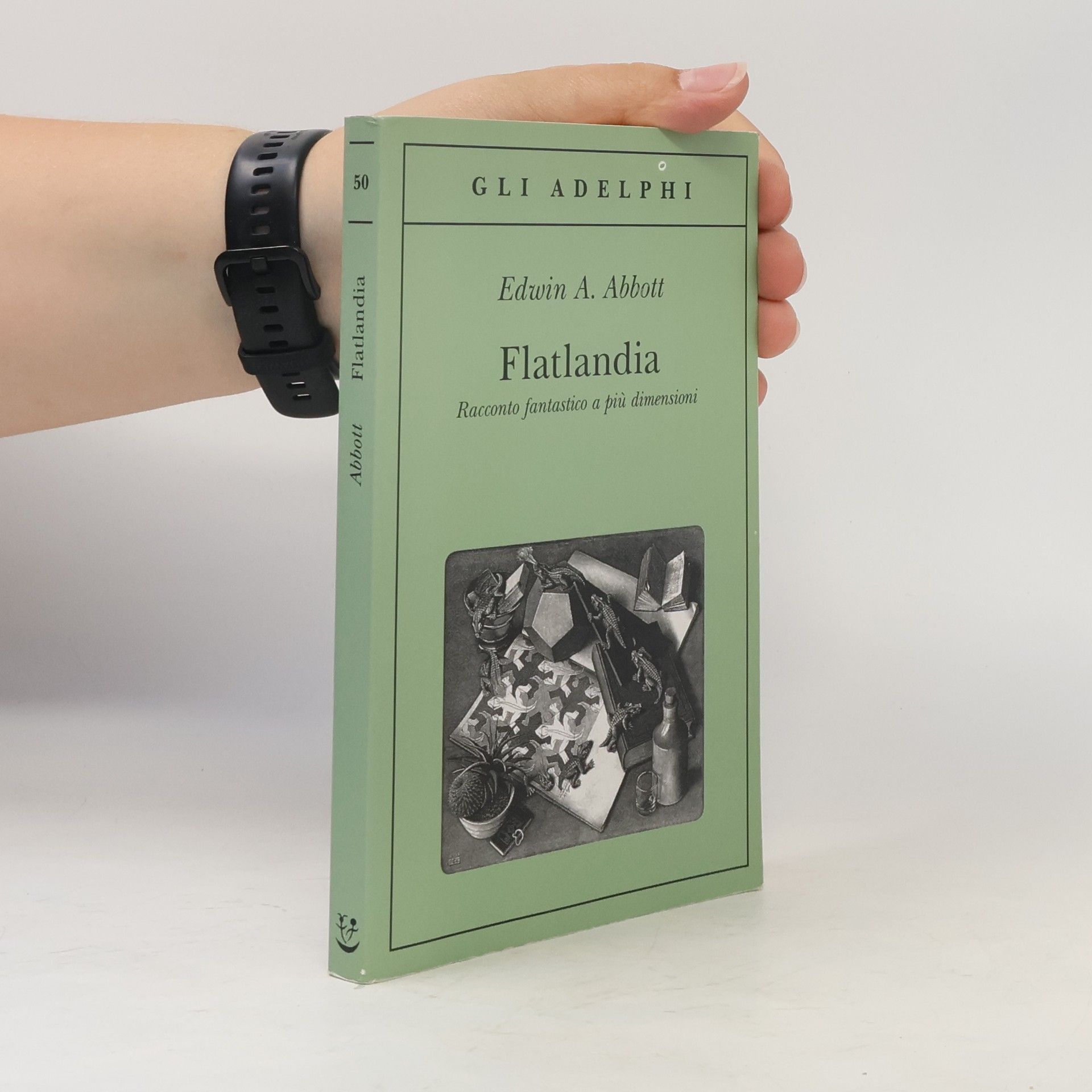 Flatlandia