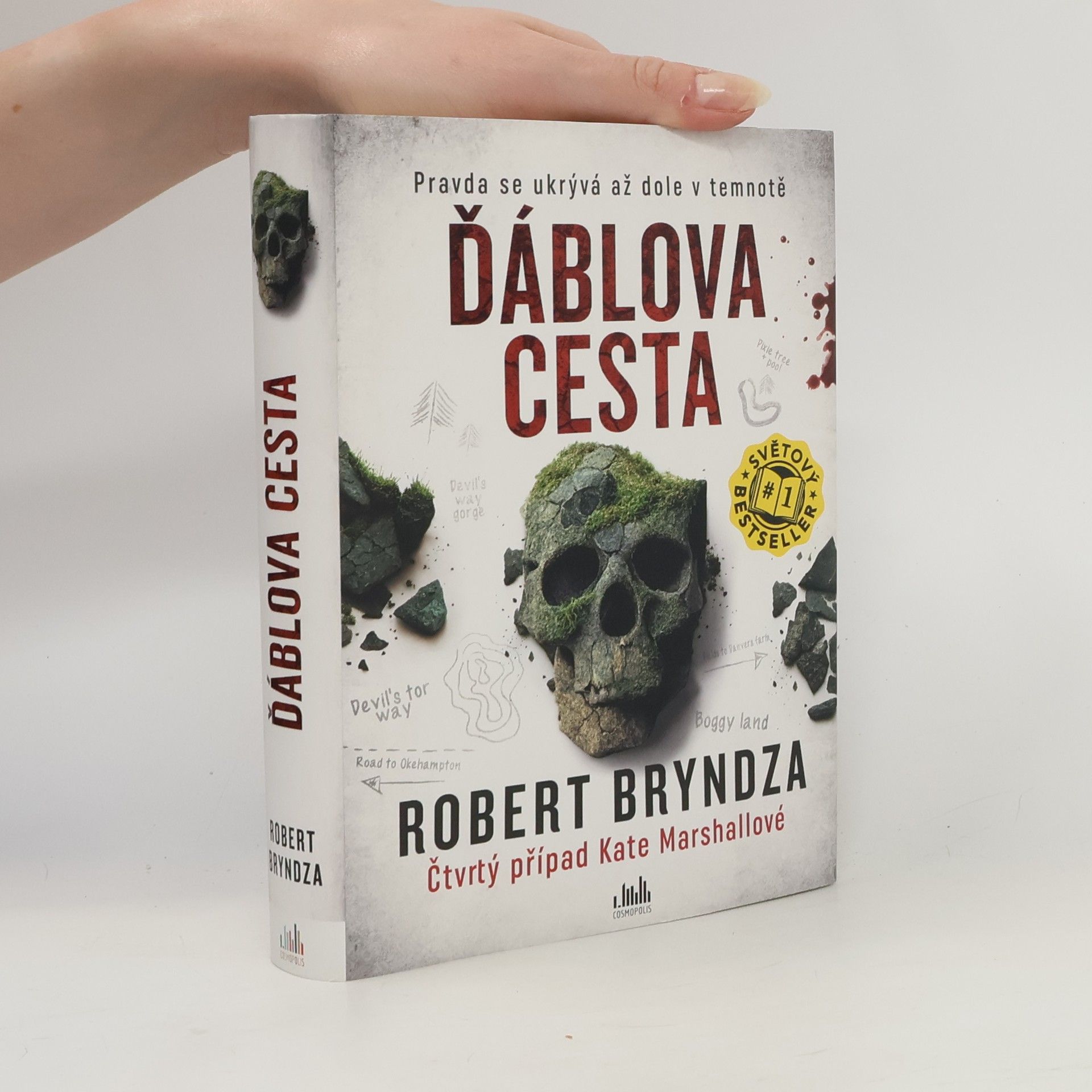 Robert Bryndza Ďáblova cesta