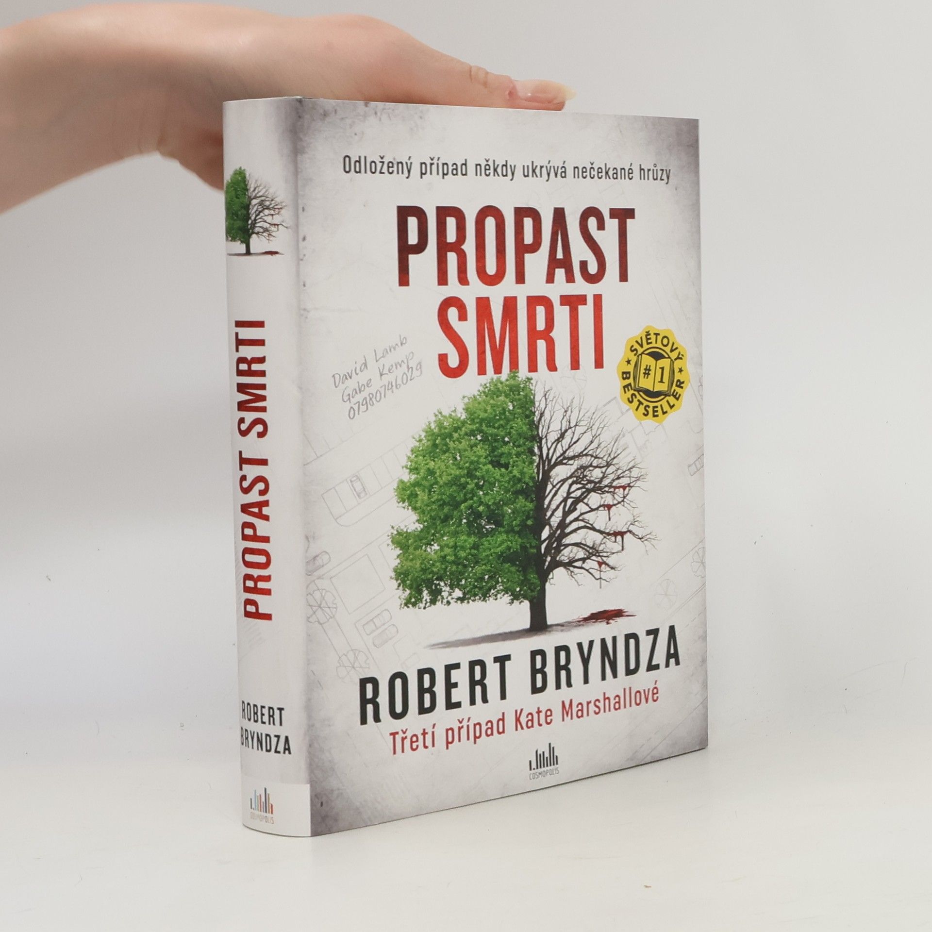 Robert Bryndza Propast smrti