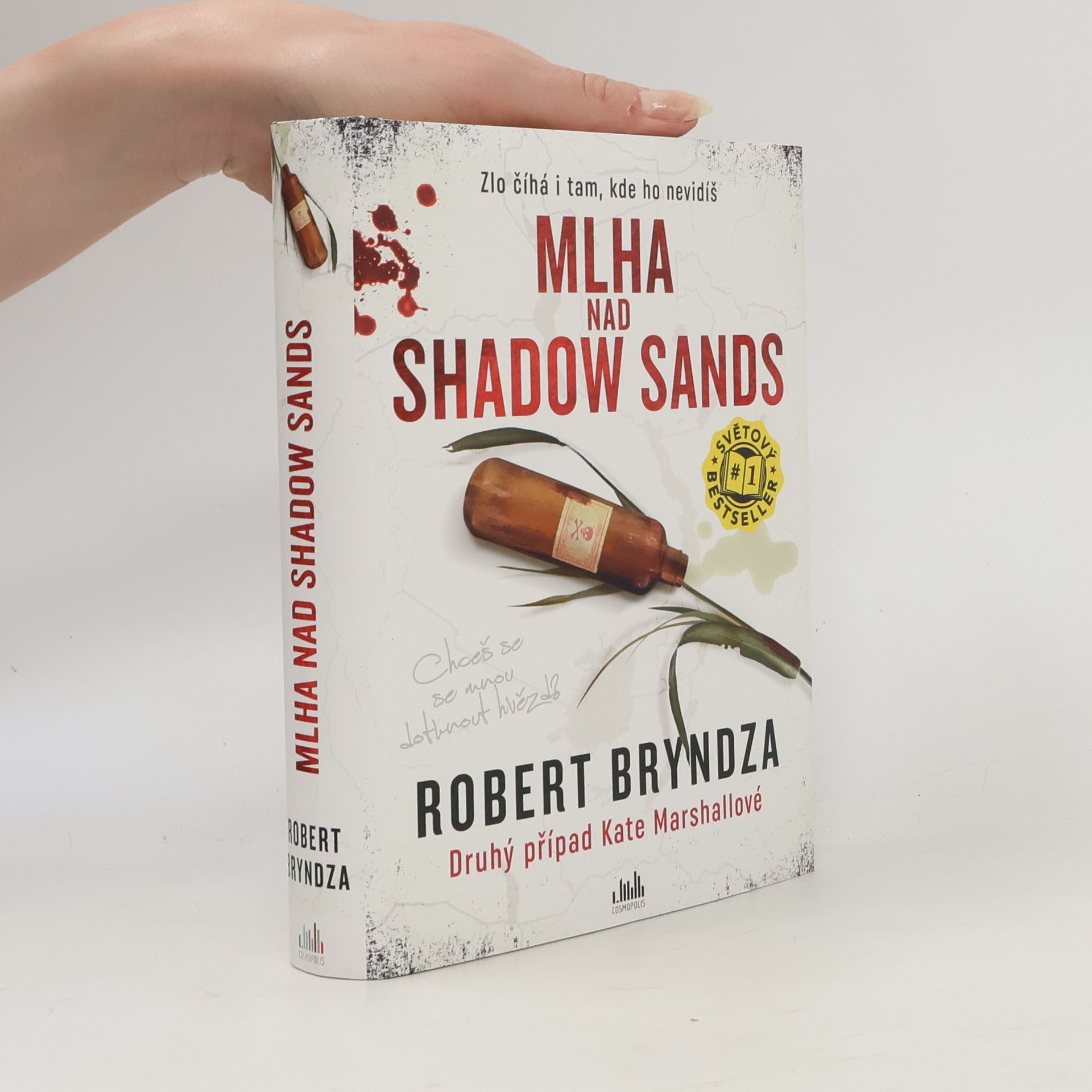 Robert Bryndza Mlha nad Shadow Sands